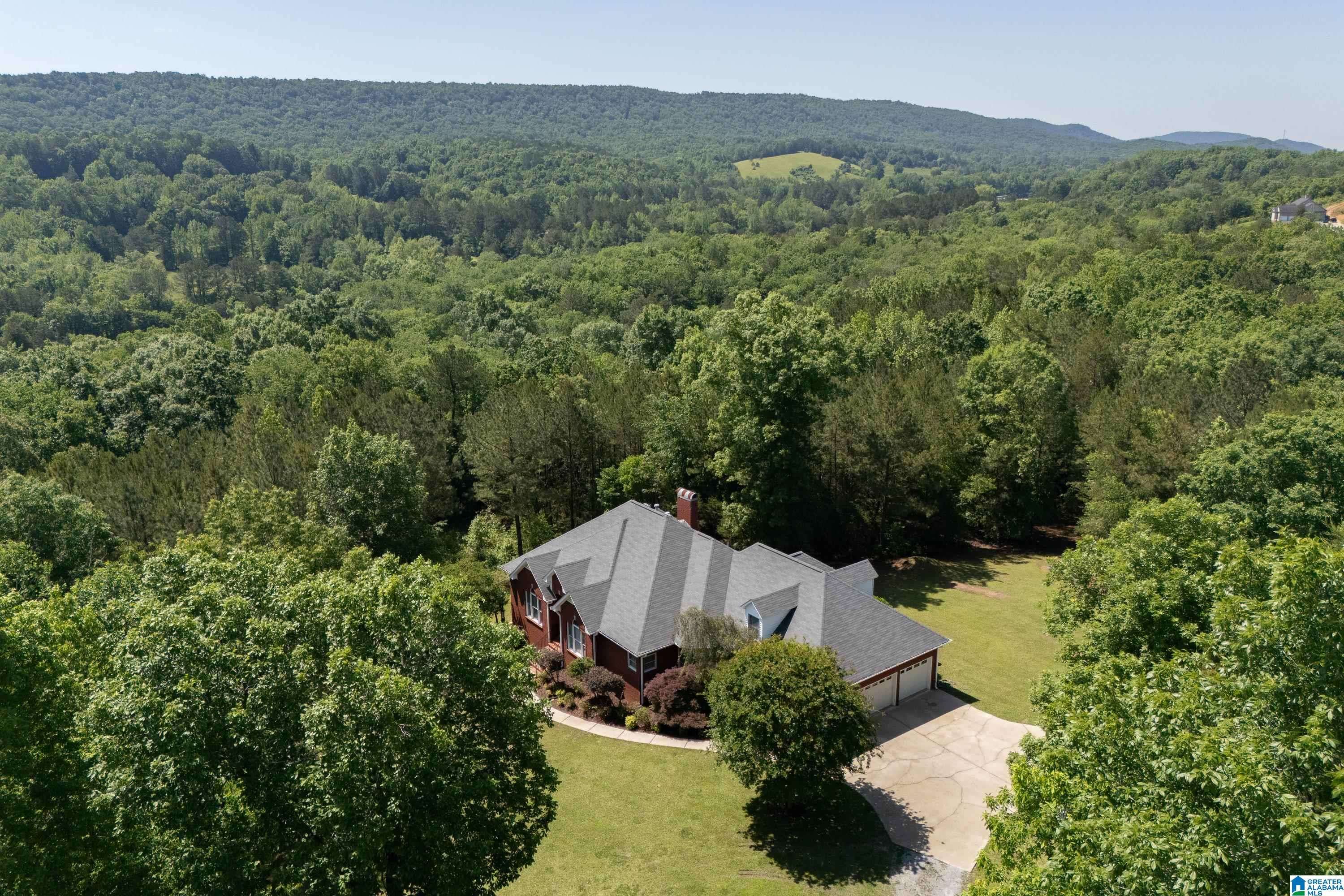 Remlap, AL 35133,175 SUNHILL ROAD