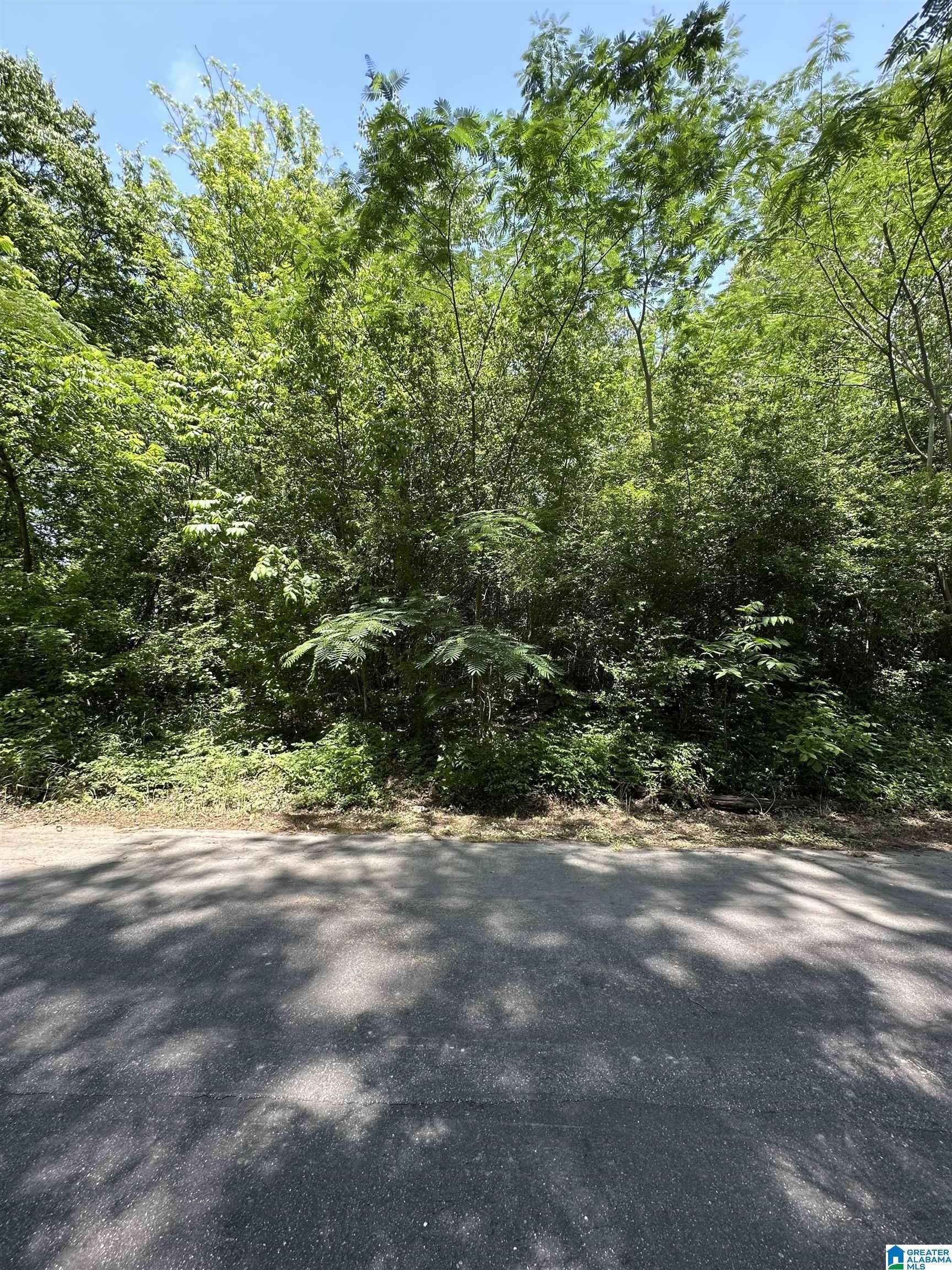 Irondale, AL 35210,2716 MARY TAYLOR ROAD #00