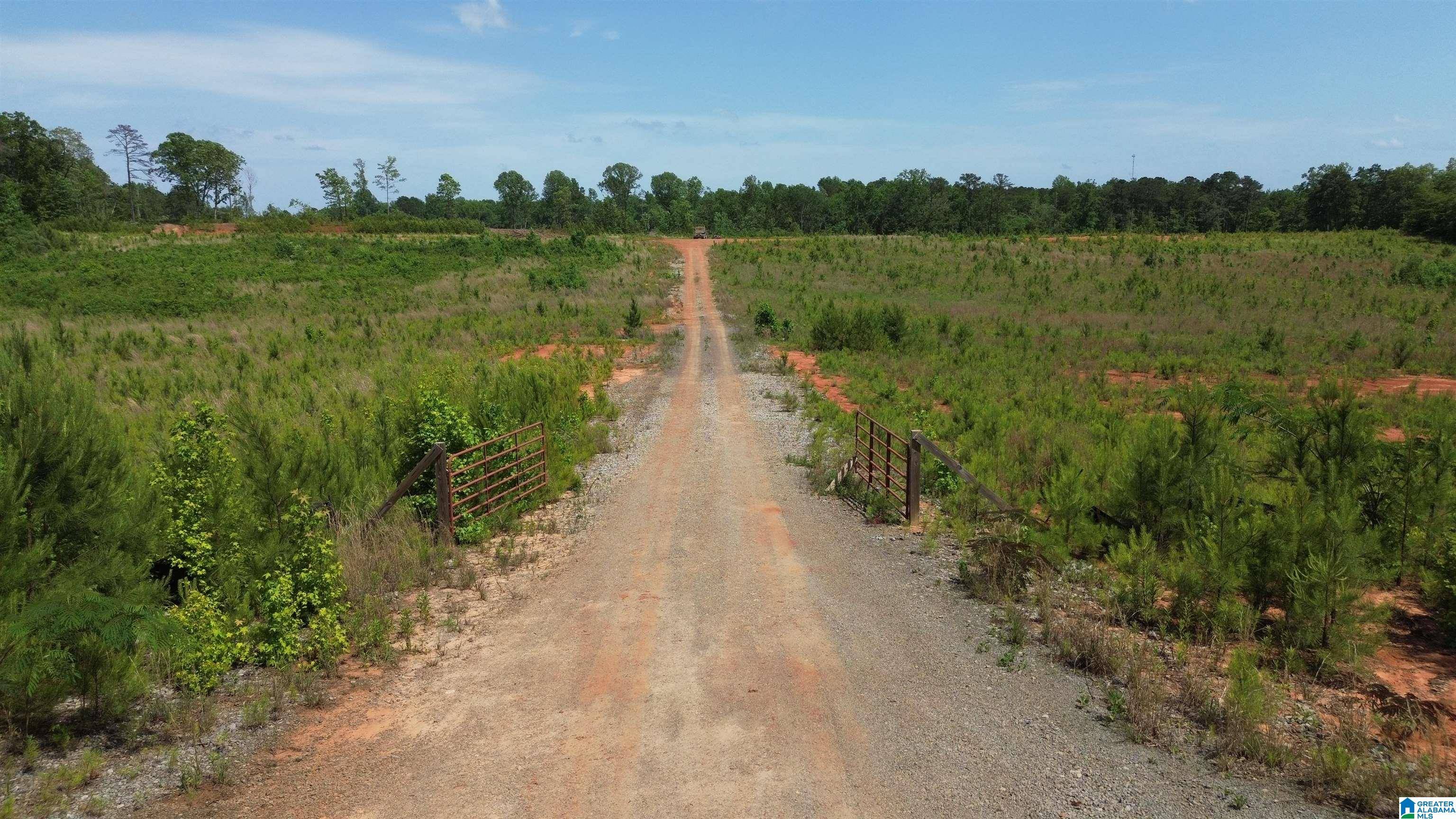 Brookwood, AL 35444,10013 COVERED BRIDGE ROAD