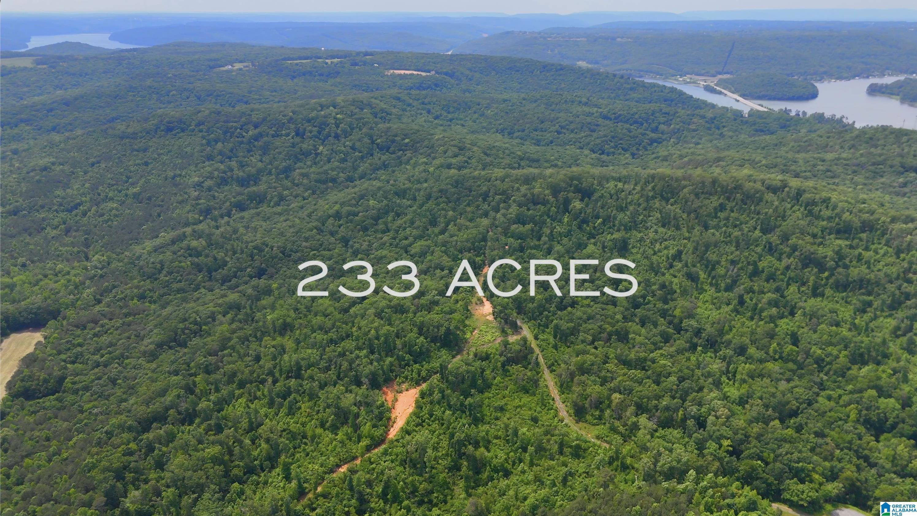 Guntersville, AL 35976,357 TARA DRIVE #1