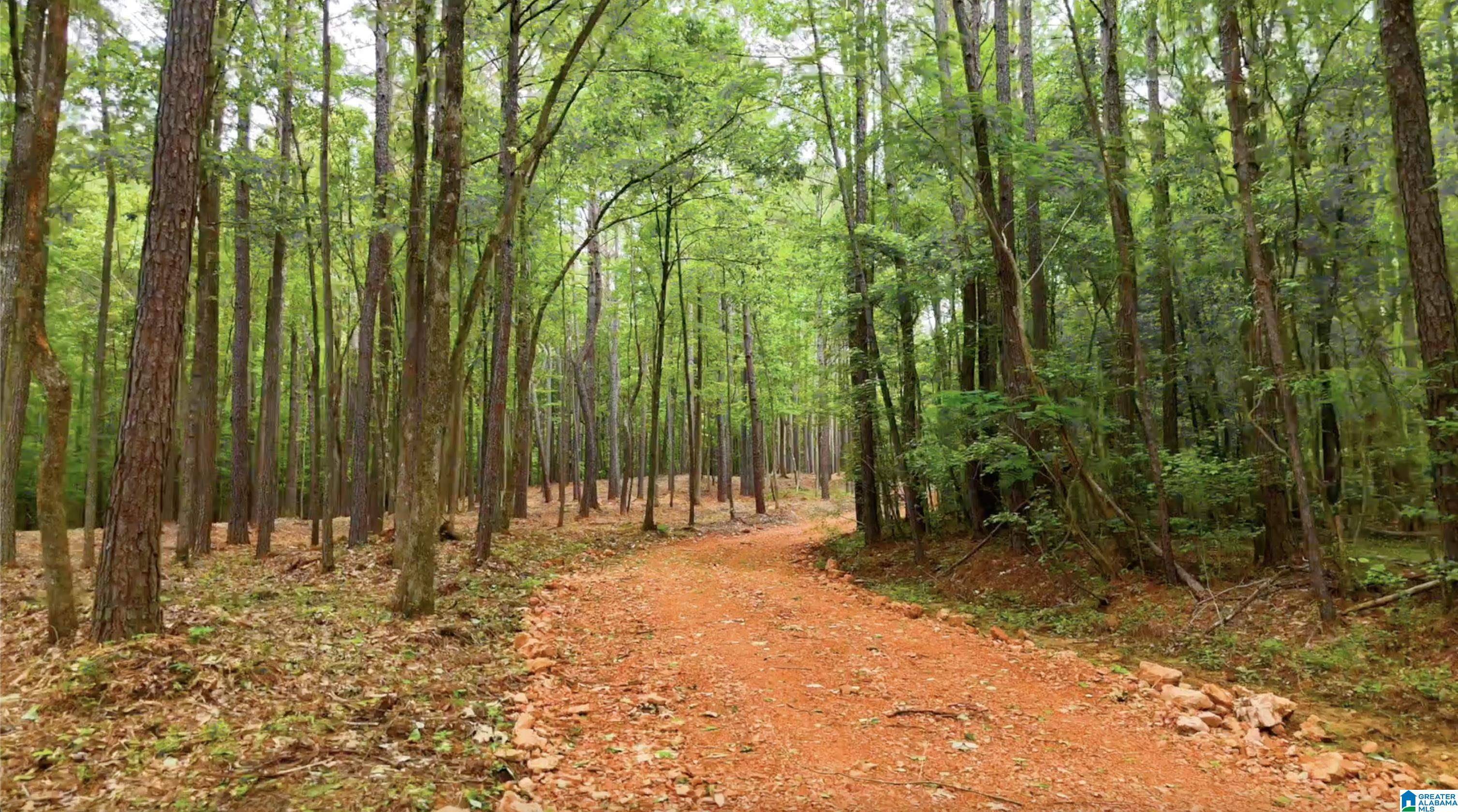 Vandiver, AL 35147,789 MAGNOLIA LANE #2