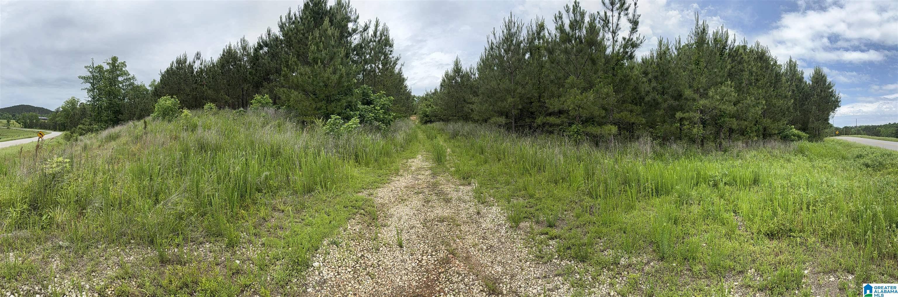 Heflin, AL 36264,6265 COUNTY ROAD 10 #0