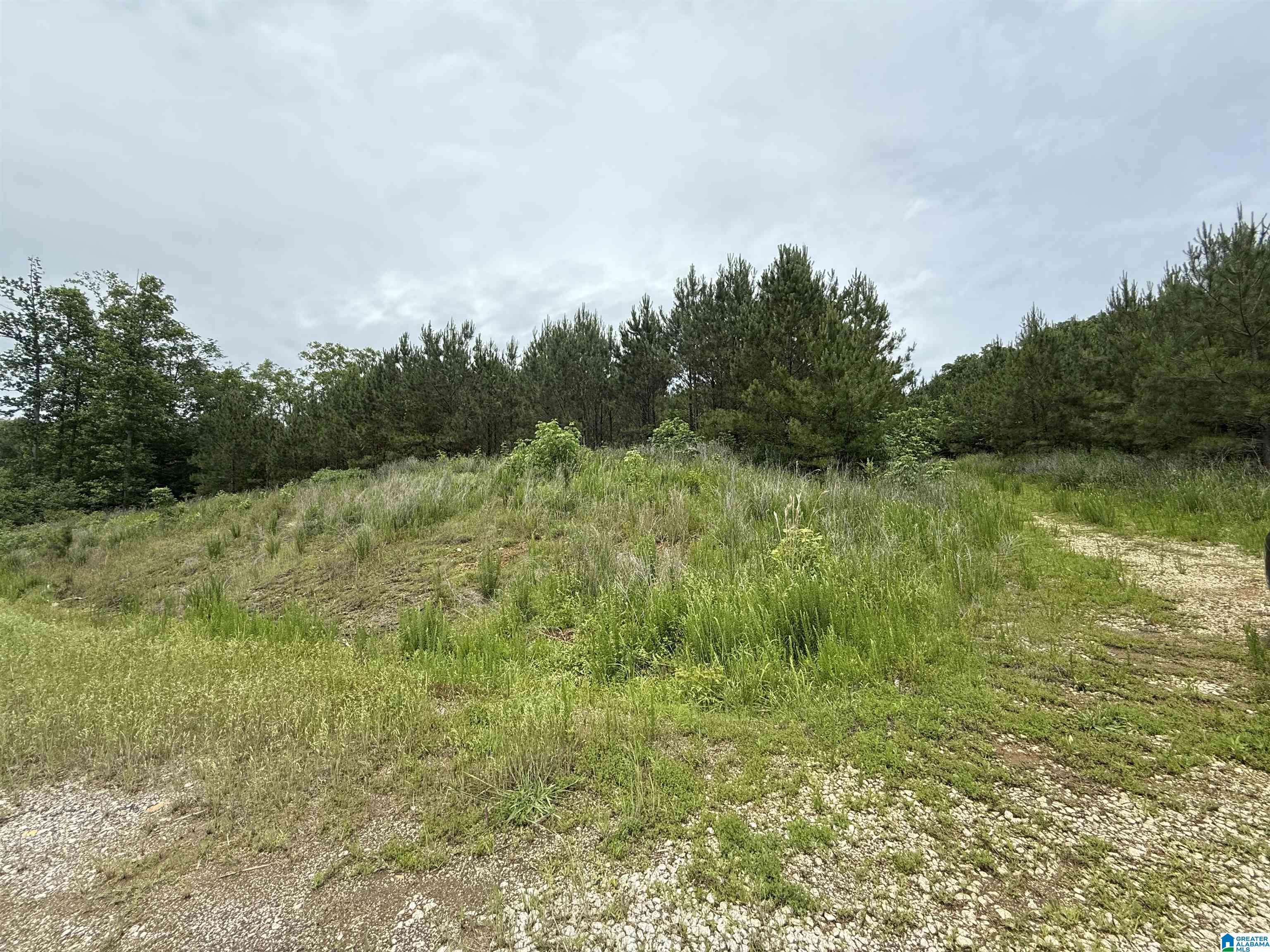 Heflin, AL 36264,6265 COUNTY ROAD 10 #0