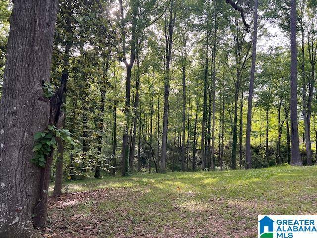 Heflin, AL 36264,877 BEDWELL STREET #0