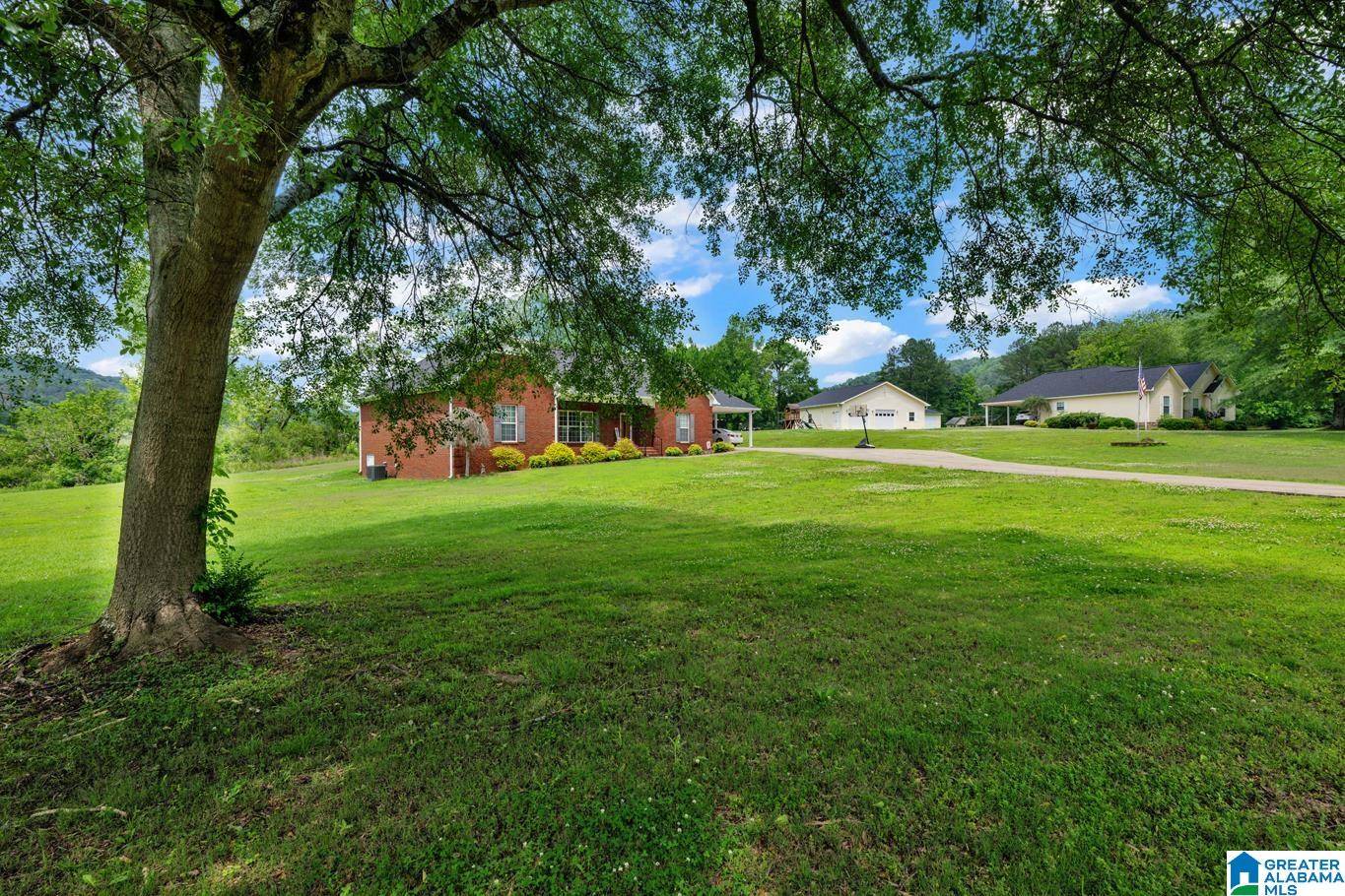 Cleveland, AL 35031,2296 MOUNTAIN GAP ROAD