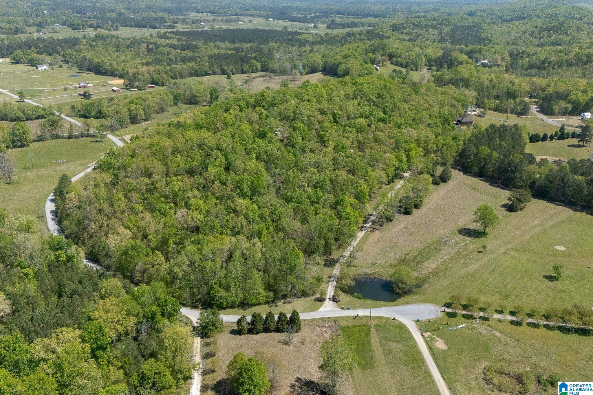 Ashville, AL 35953,895 POPLAR SPRINGS TRAIL