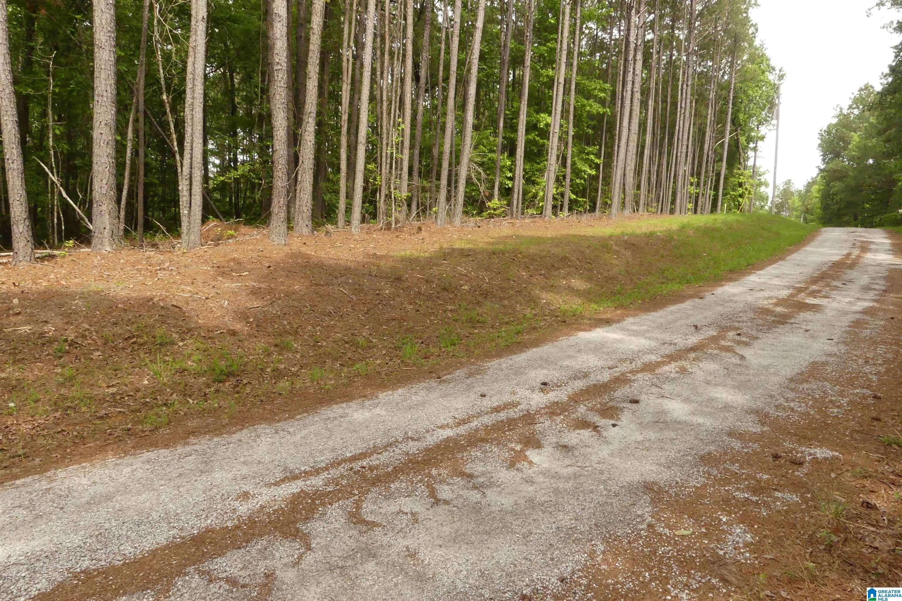 Wedowee, AL 36278,LOT 7/8 FORTUNE COVE DRIVE #7/8
