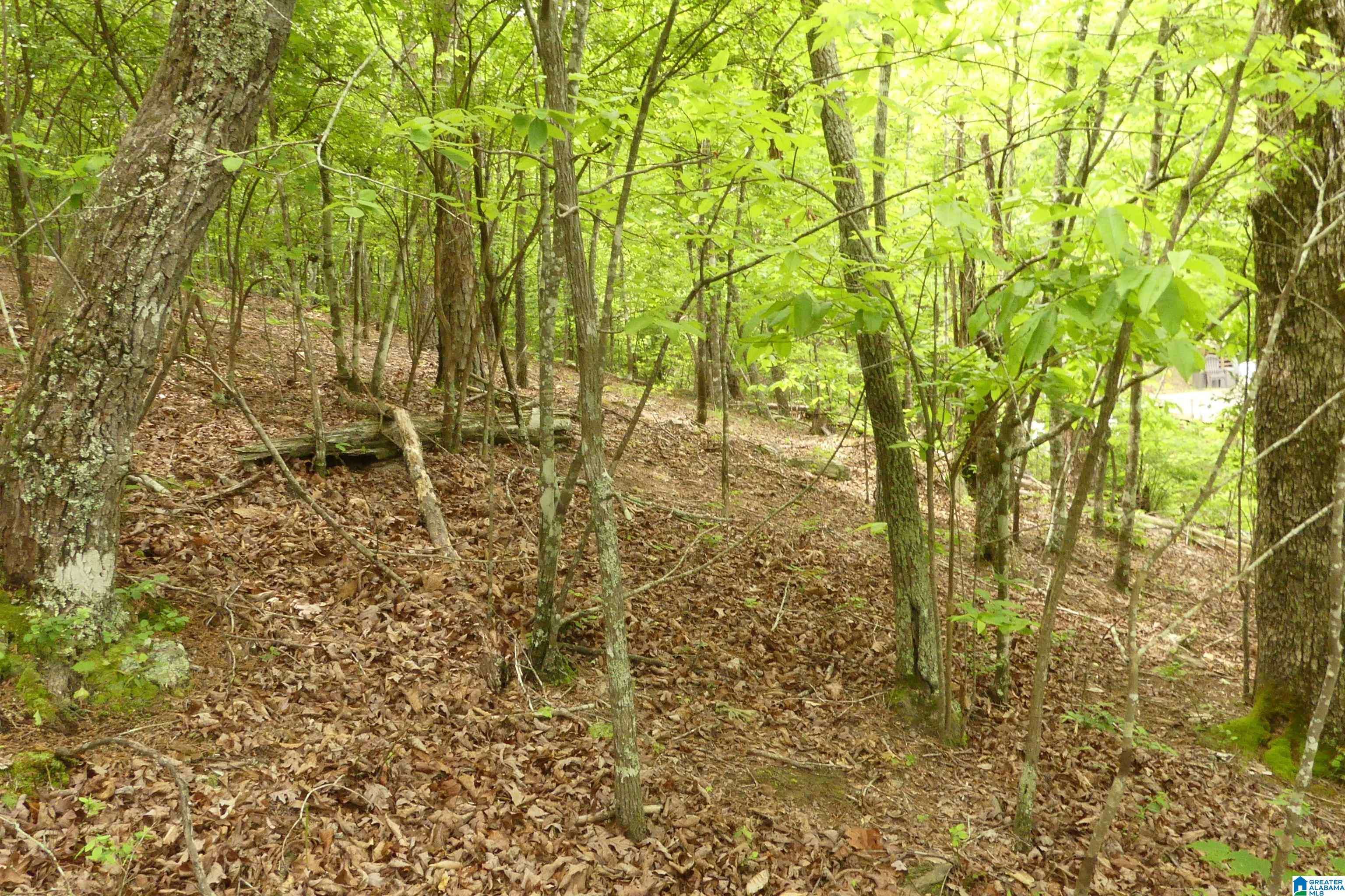 Wedowee, AL 36278,LOT 7/8 FORTUNE COVE DRIVE #7/8