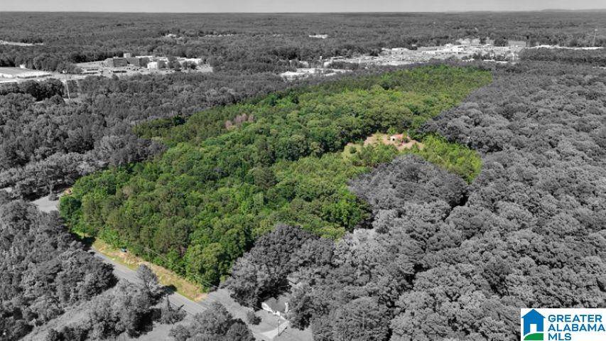 Jasper, AL 35501,0 JONES DAIRY ROAD ##0