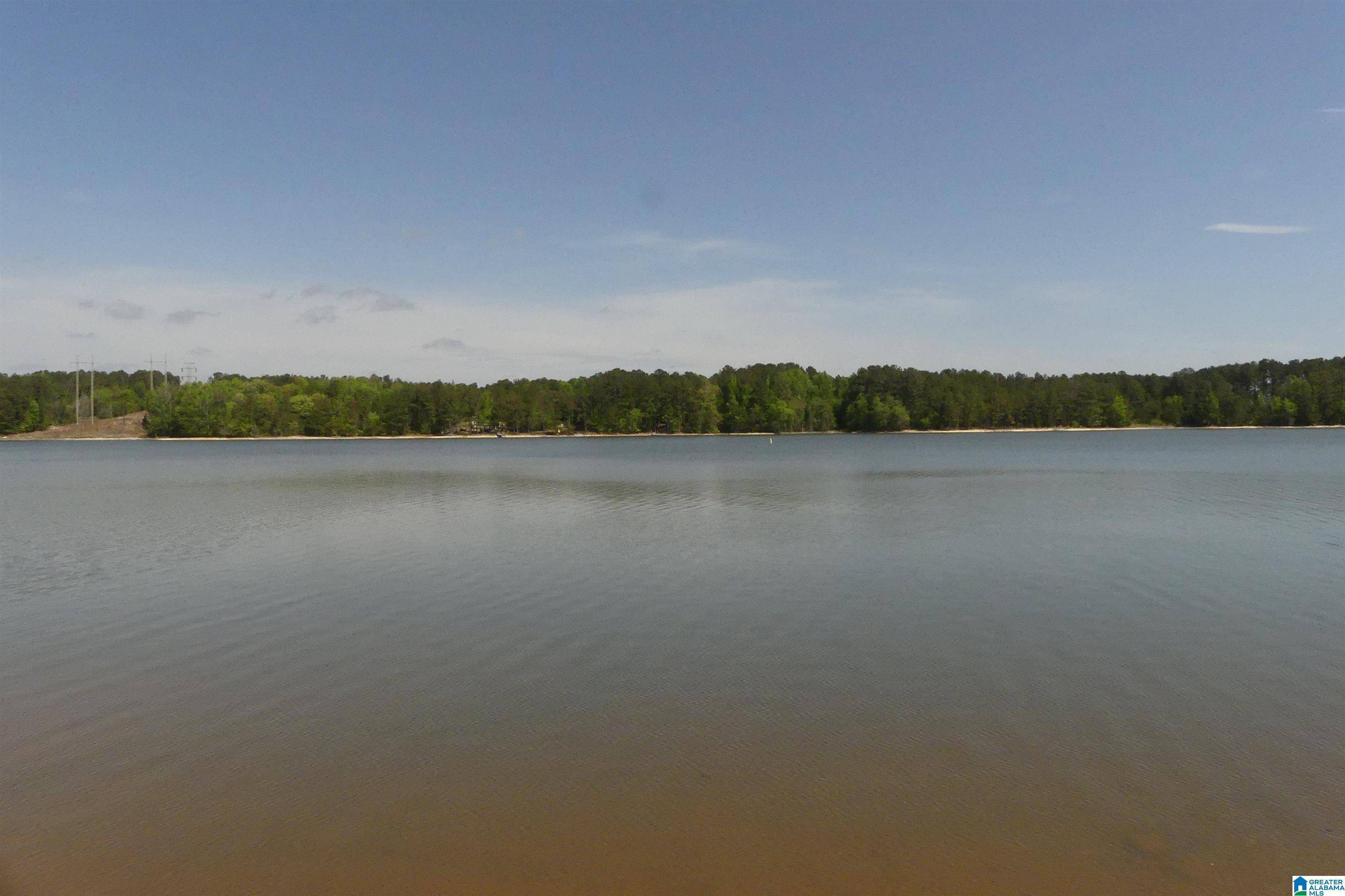 Lineville, AL 36266,LOT 18,19,20 WESTSHORE LANDING DRIVE #18,19,20