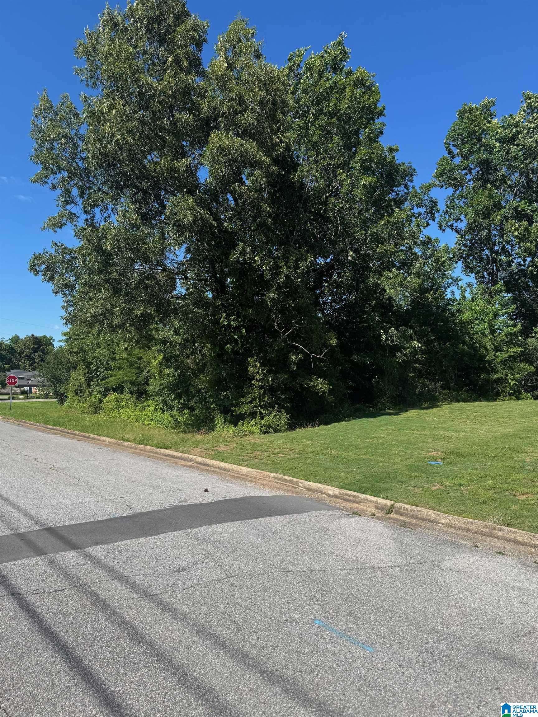 Jacksonville, AL 36265,0 2ND AVENUE #39