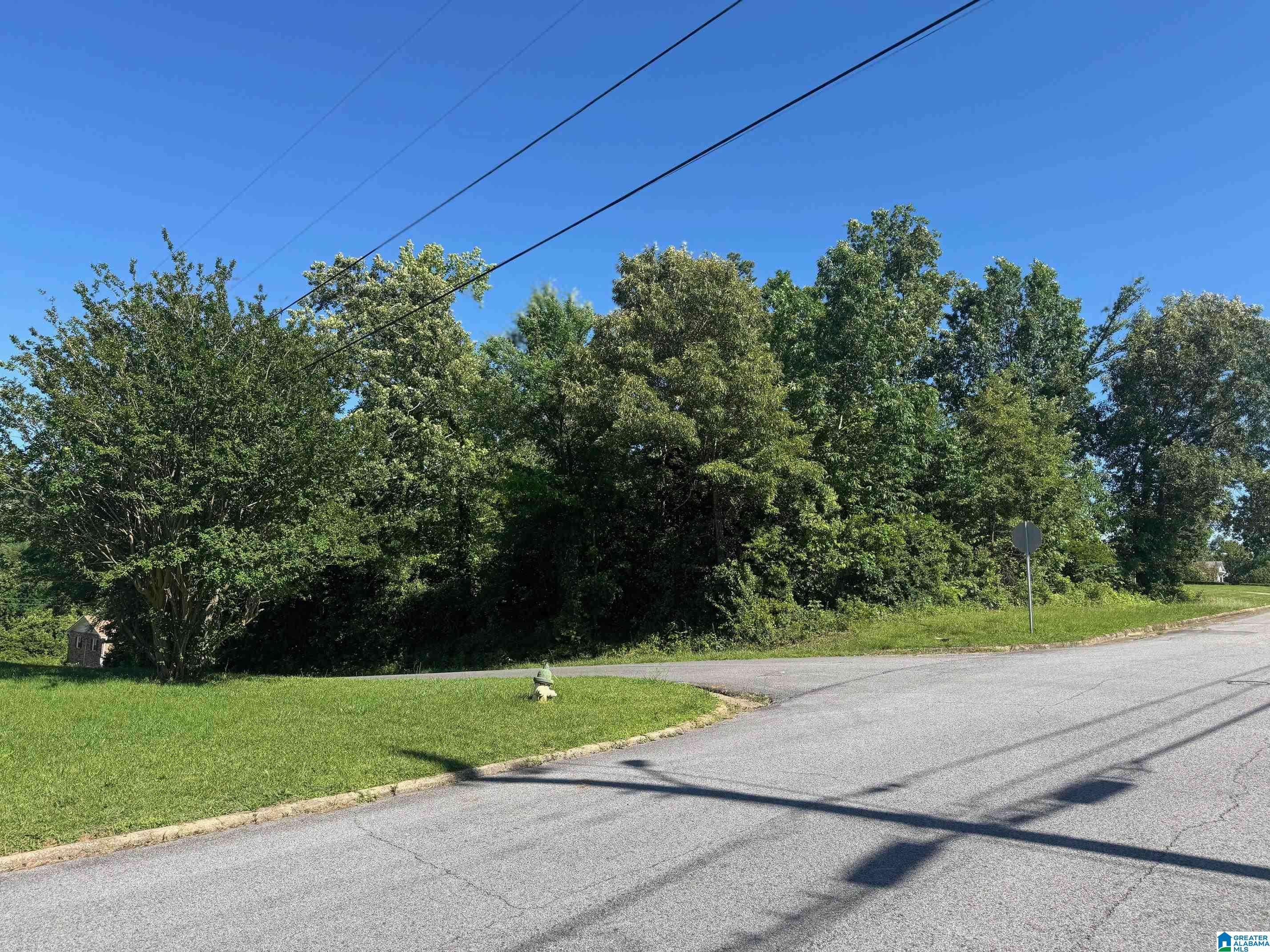 Jacksonville, AL 36265,0 2ND AVENUE #39