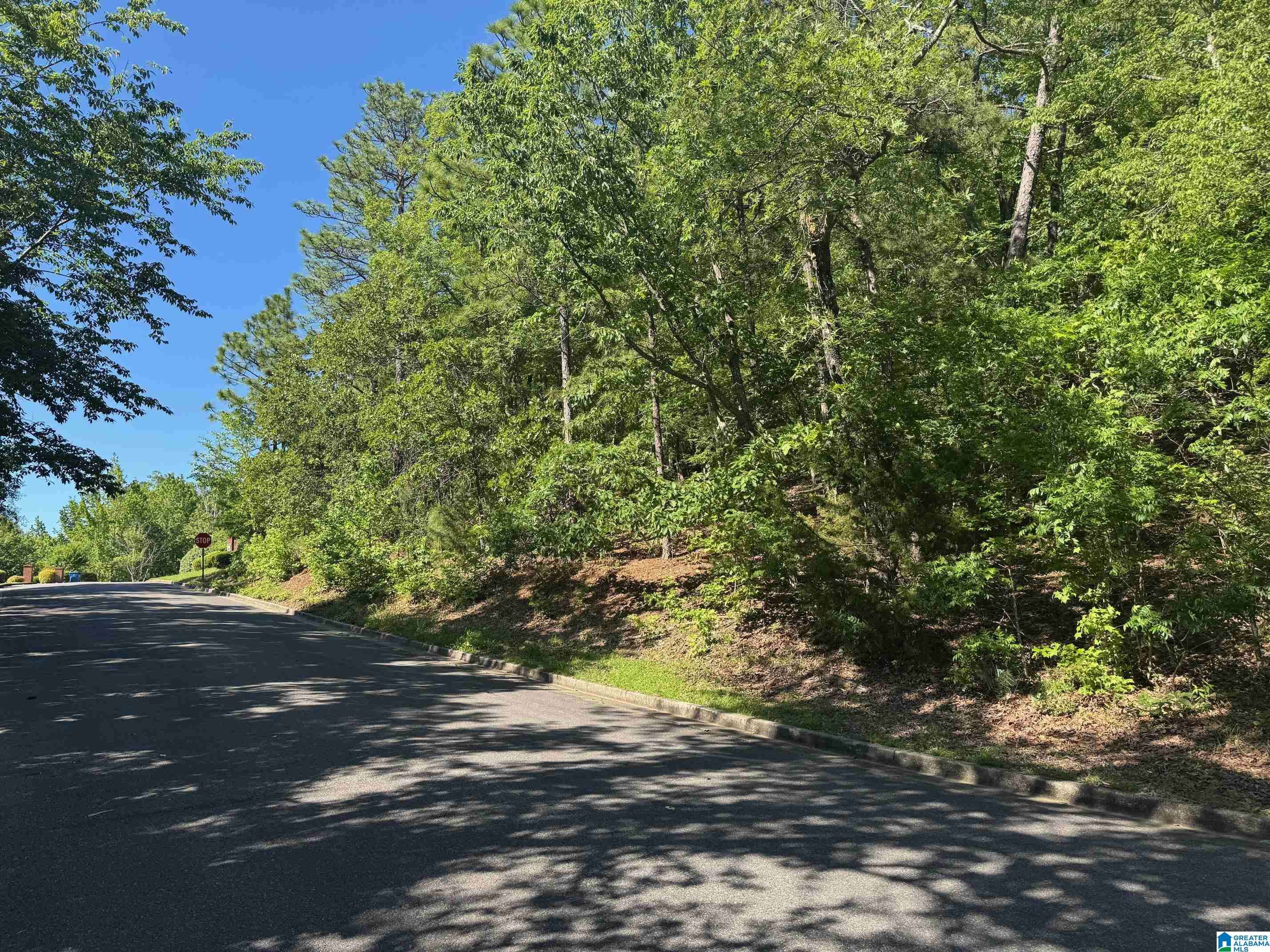 Jacksonville, AL 36265,0 HERITAGE LANE #1