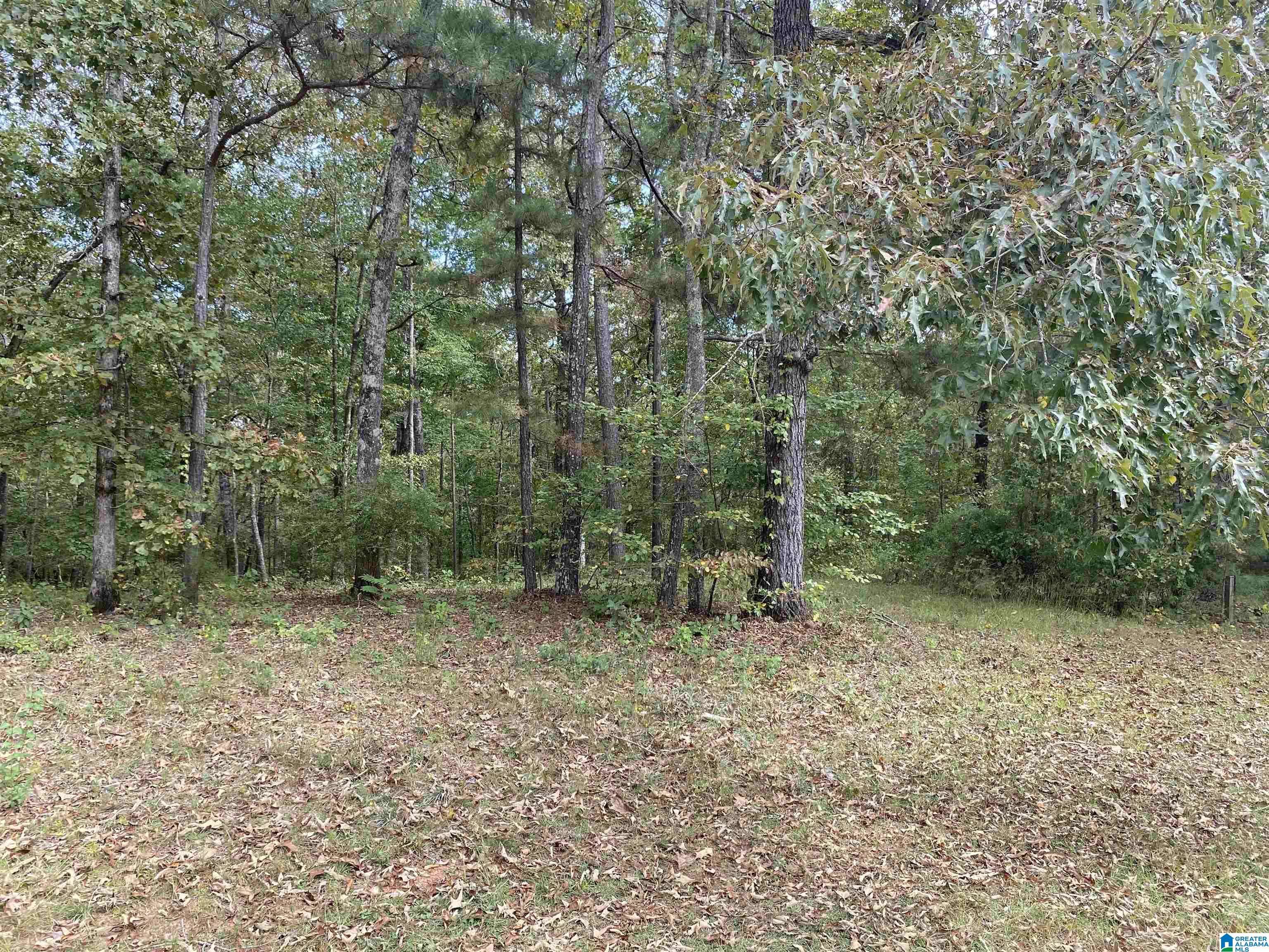 Wedowee, AL 36278,Lot 6 PINEYWOODS DRIVE #Lot # 6