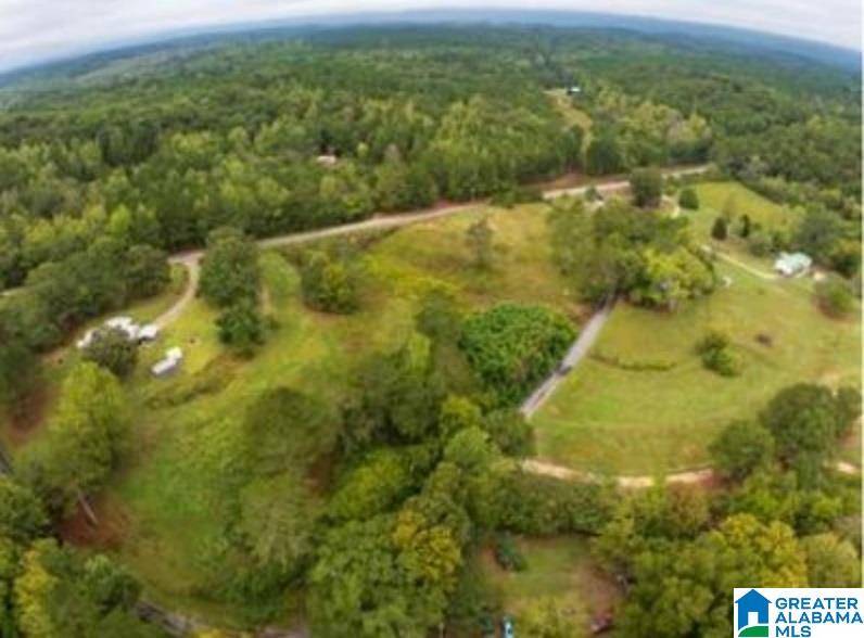 Gaylesville, AL 35973,00 COUNTY ROAD 99 #0