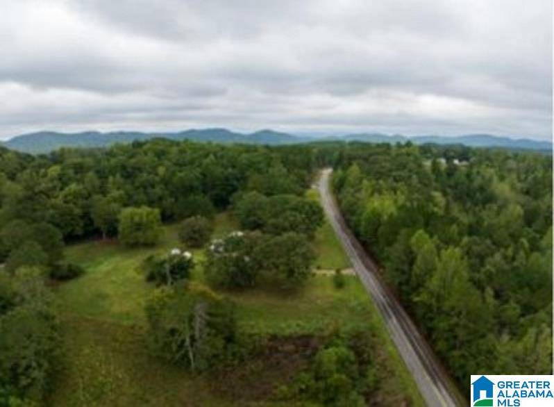 Gaylesville, AL 35973,00 COUNTY ROAD 99 #0