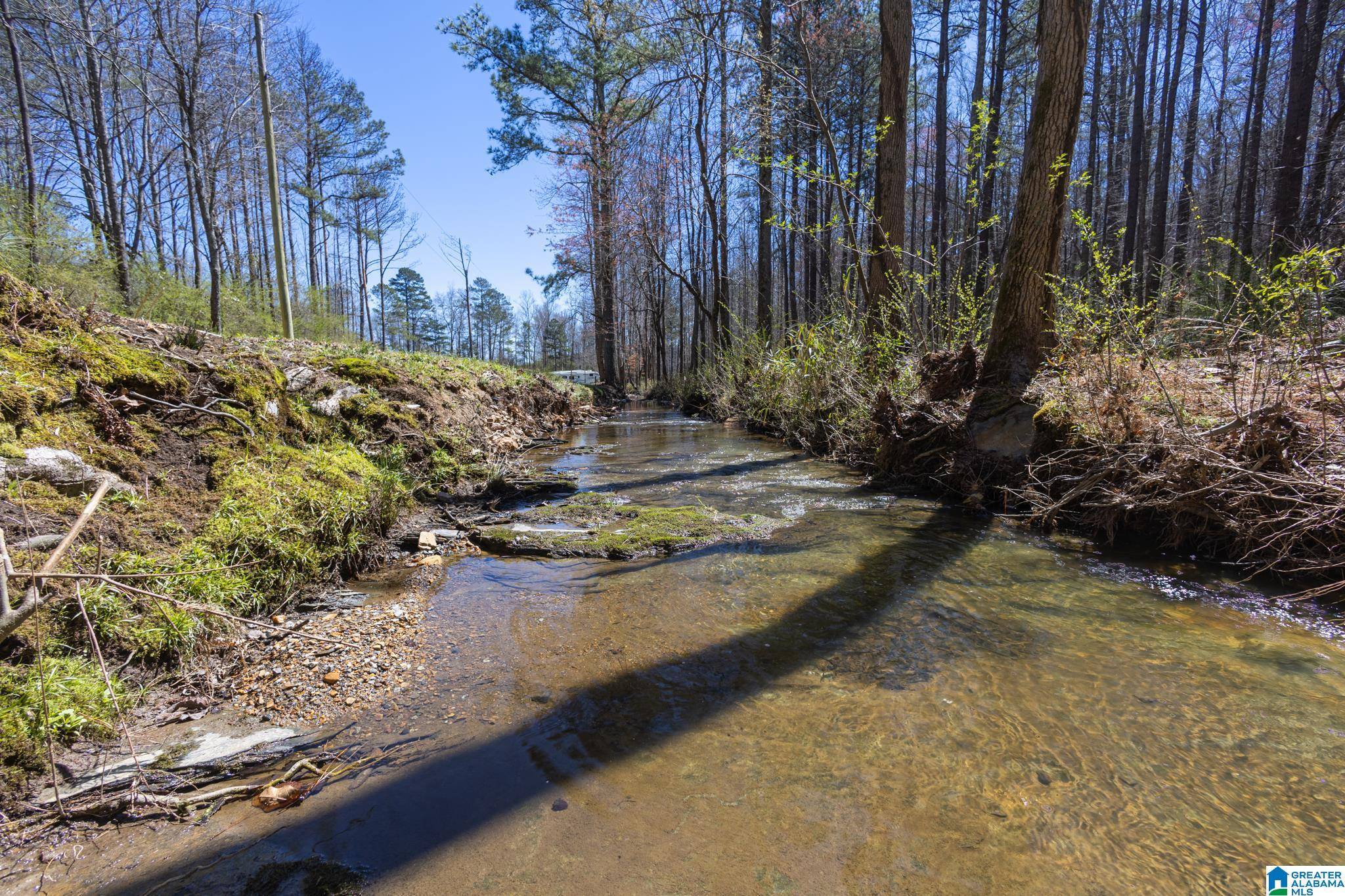 Ranburne, AL 36273,727 COUNTY ROAD 677