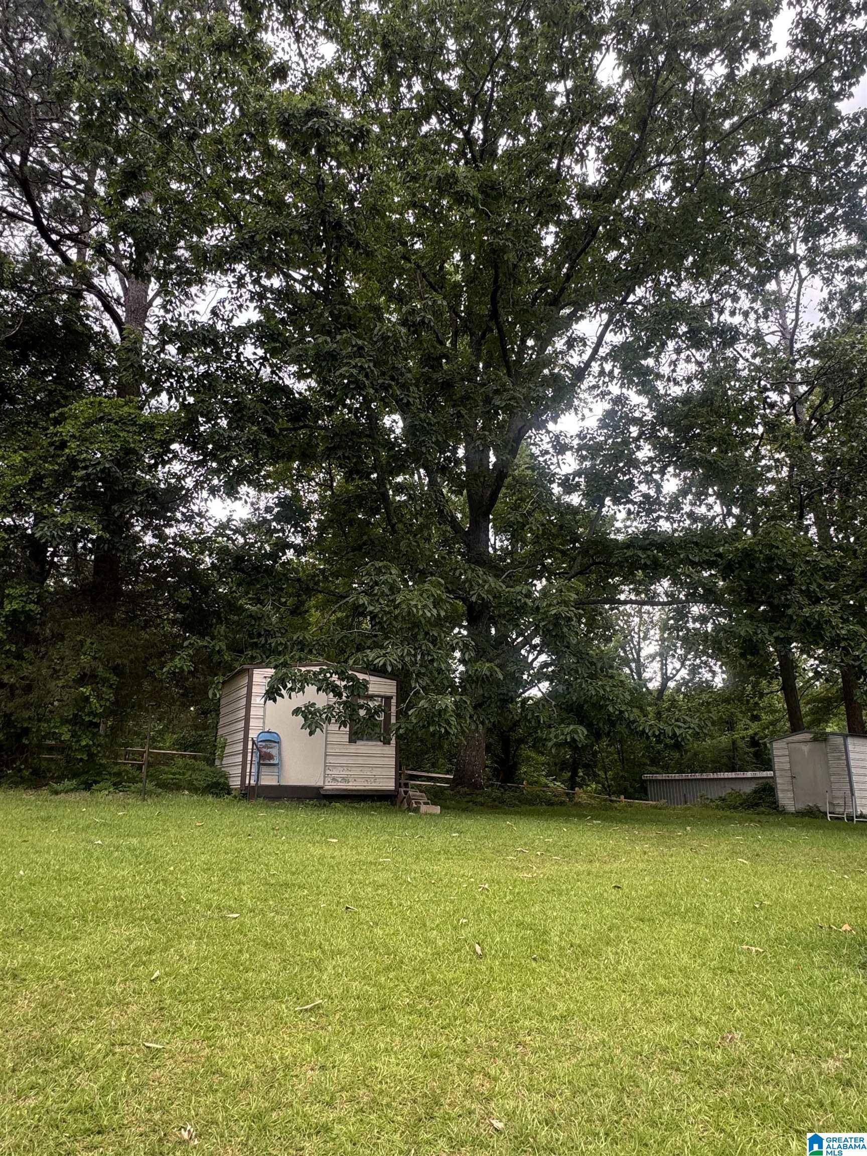 Remlap, AL 35133,9709 MIZE ROAD