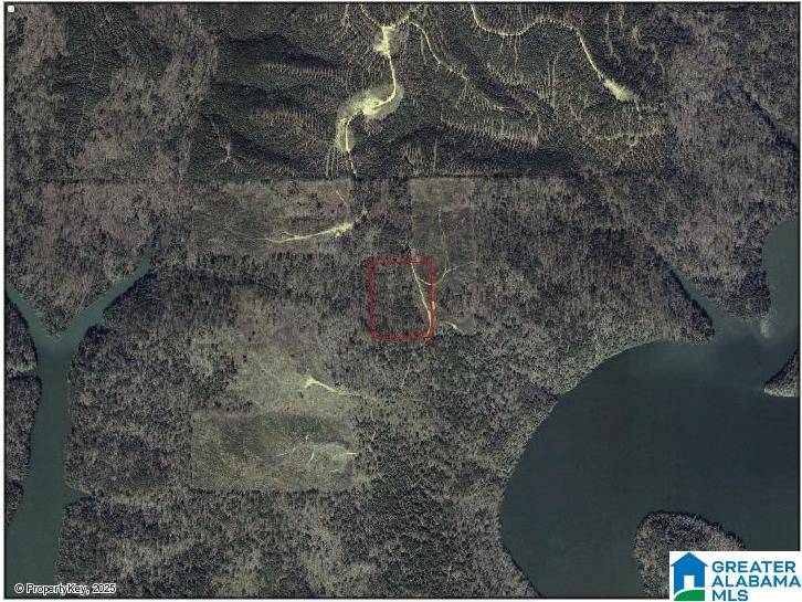 Oneonta, AL 35121,SEVEN MILE ROAD #0