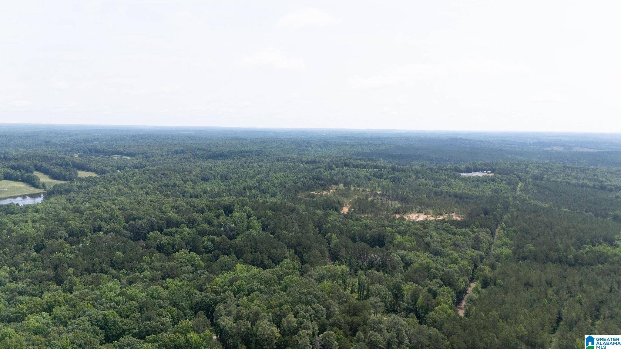 Cottondale, AL 35453,0 STATION ROAD 32 #0