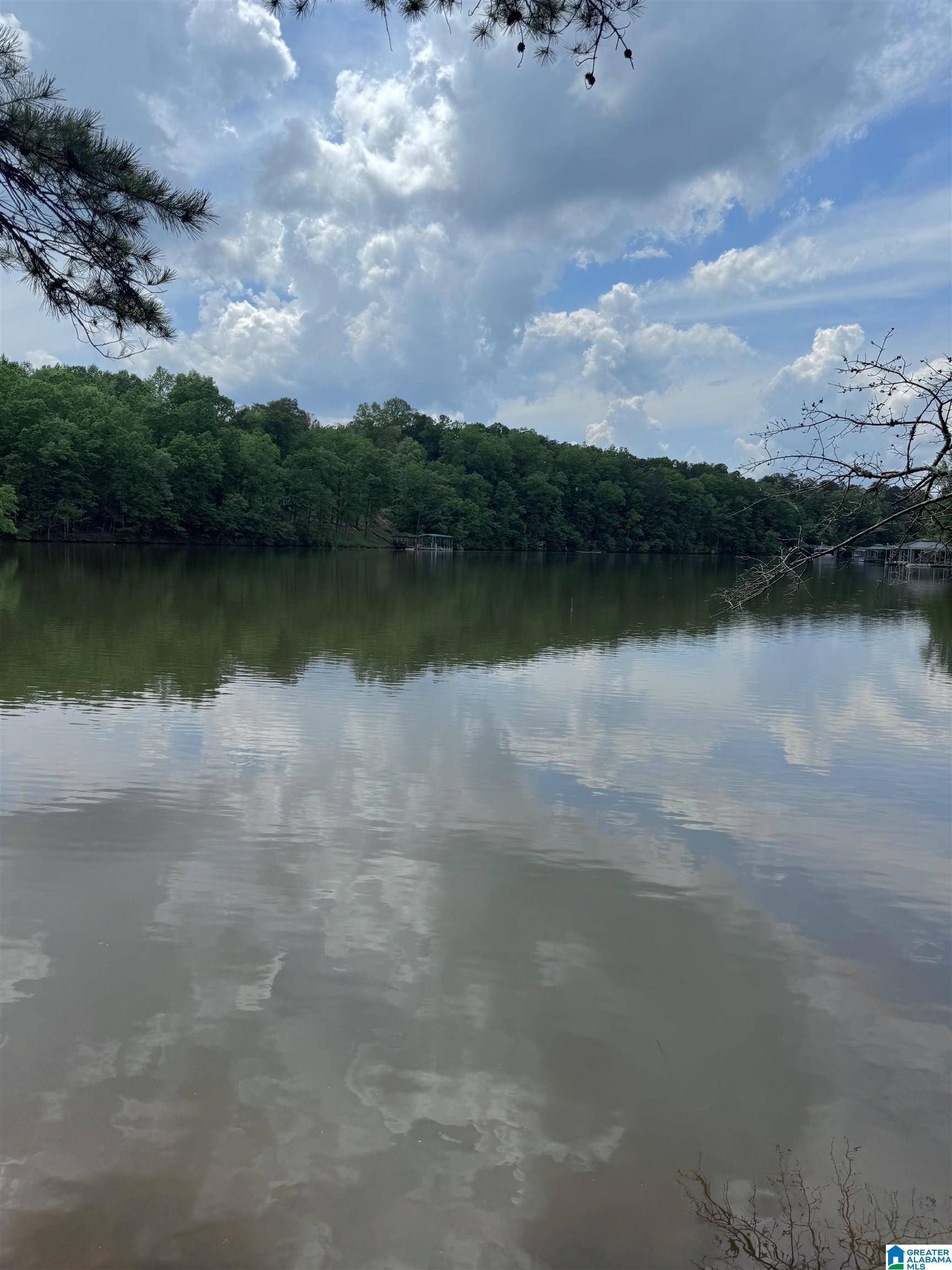 Wedowee, AL 36278,Lot 2 OLD HIGHWAY 431 #1