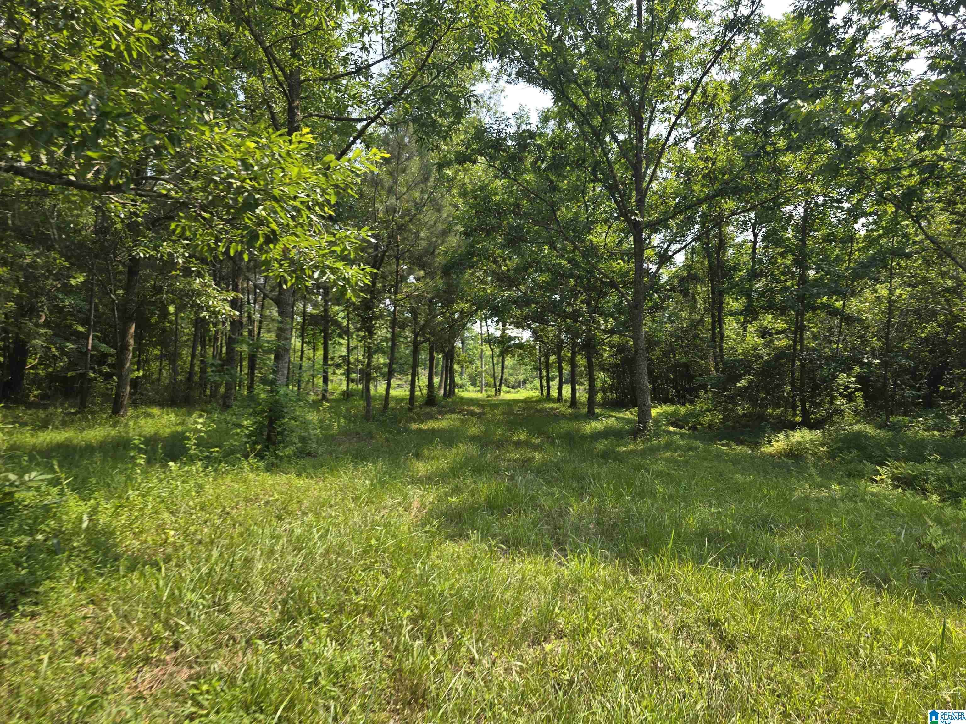 Rockford, AL 35136,0000 AL HIGHWAY 22 #30