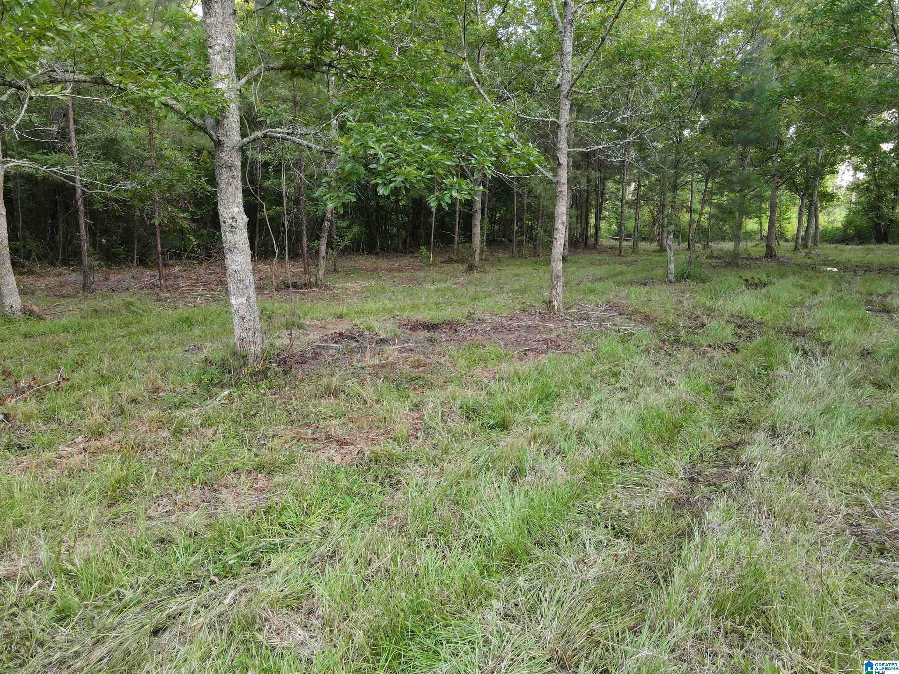Rockford, AL 35136,0000 AL HIGHWAY 22 #30