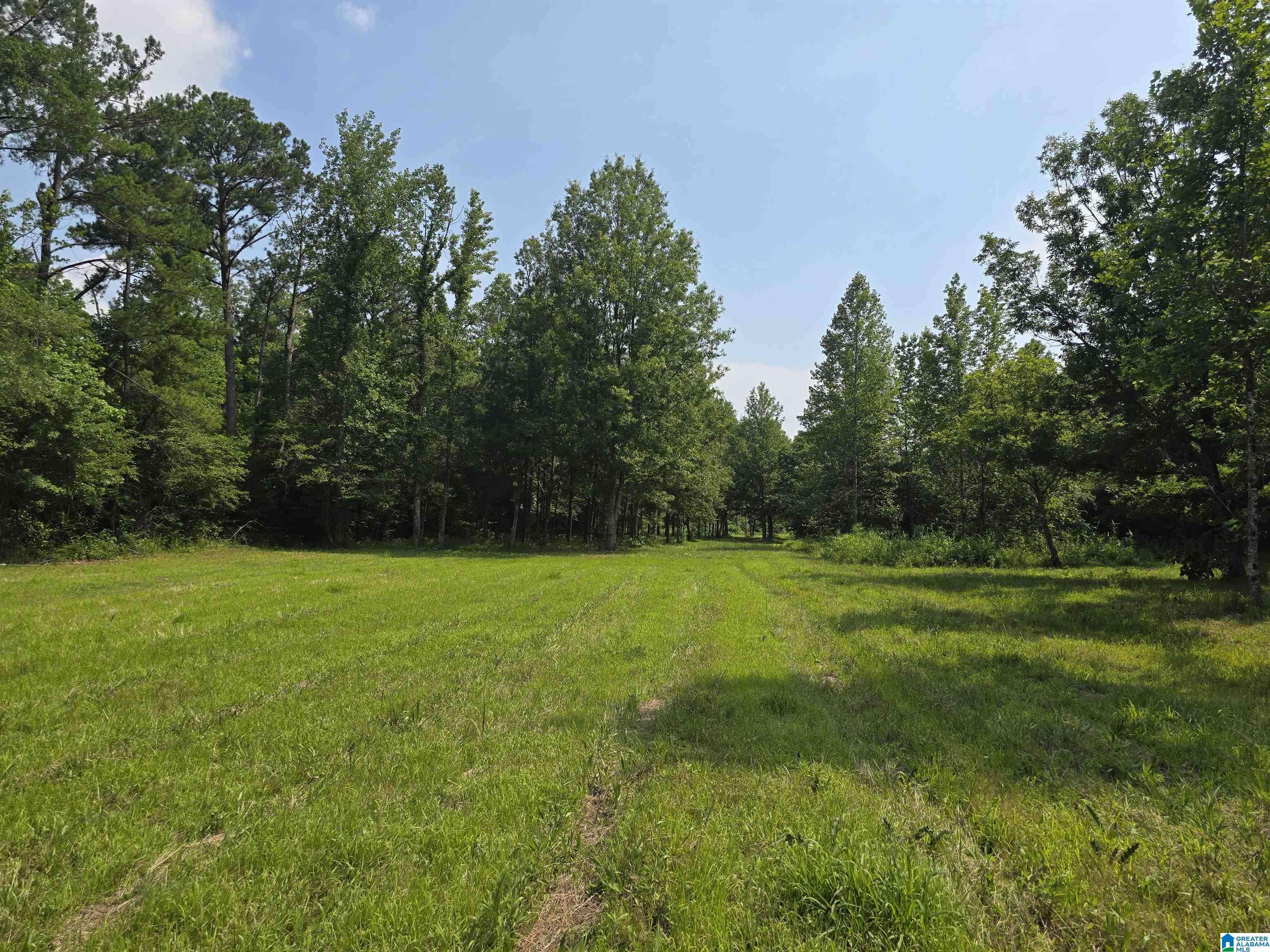 Rockford, AL 35136,0000 AL HIGHWAY 22 #30