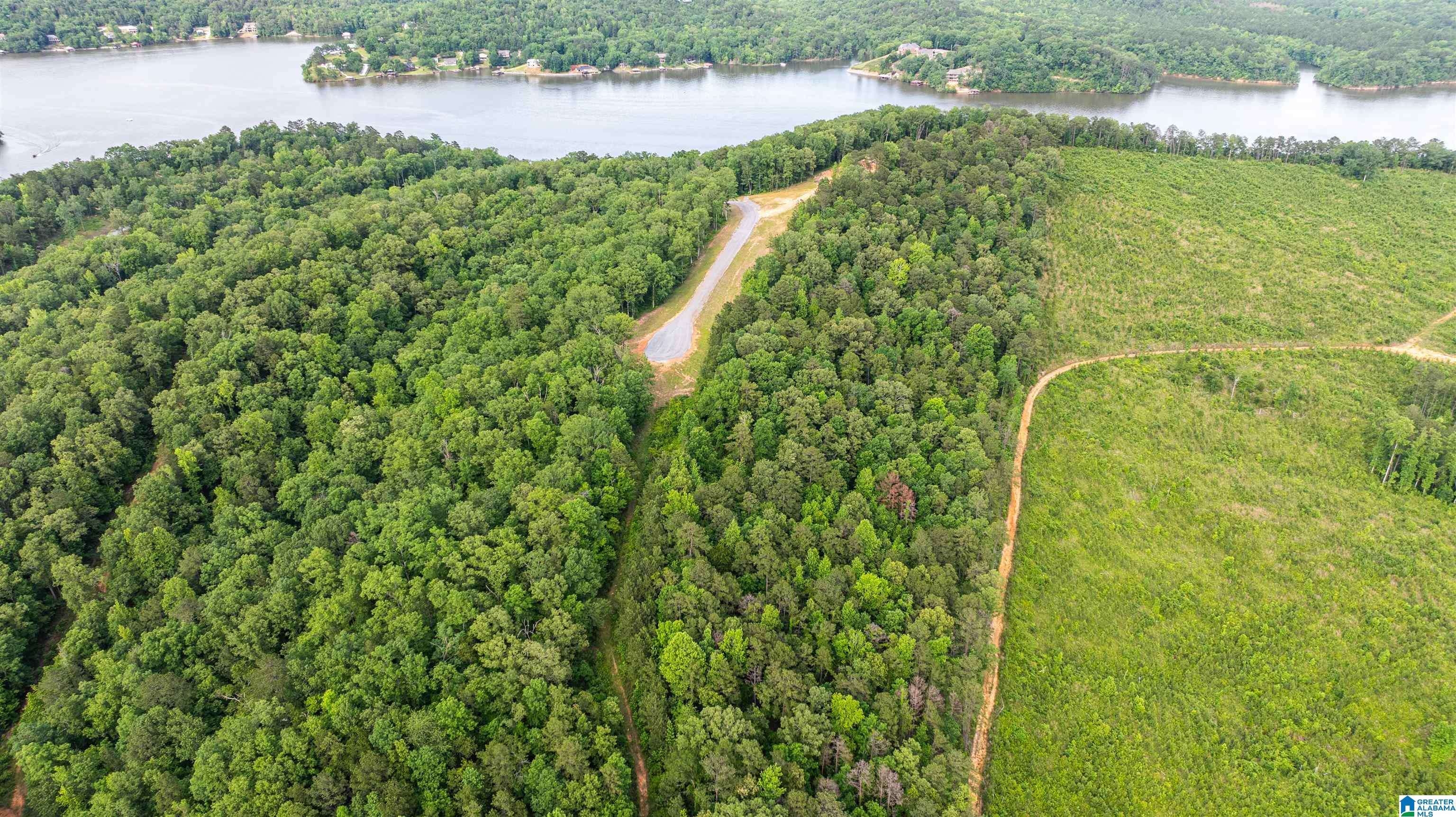 Ragland, AL 35131,0 WILL BLACK HOLLOW ROAD #Lot 36