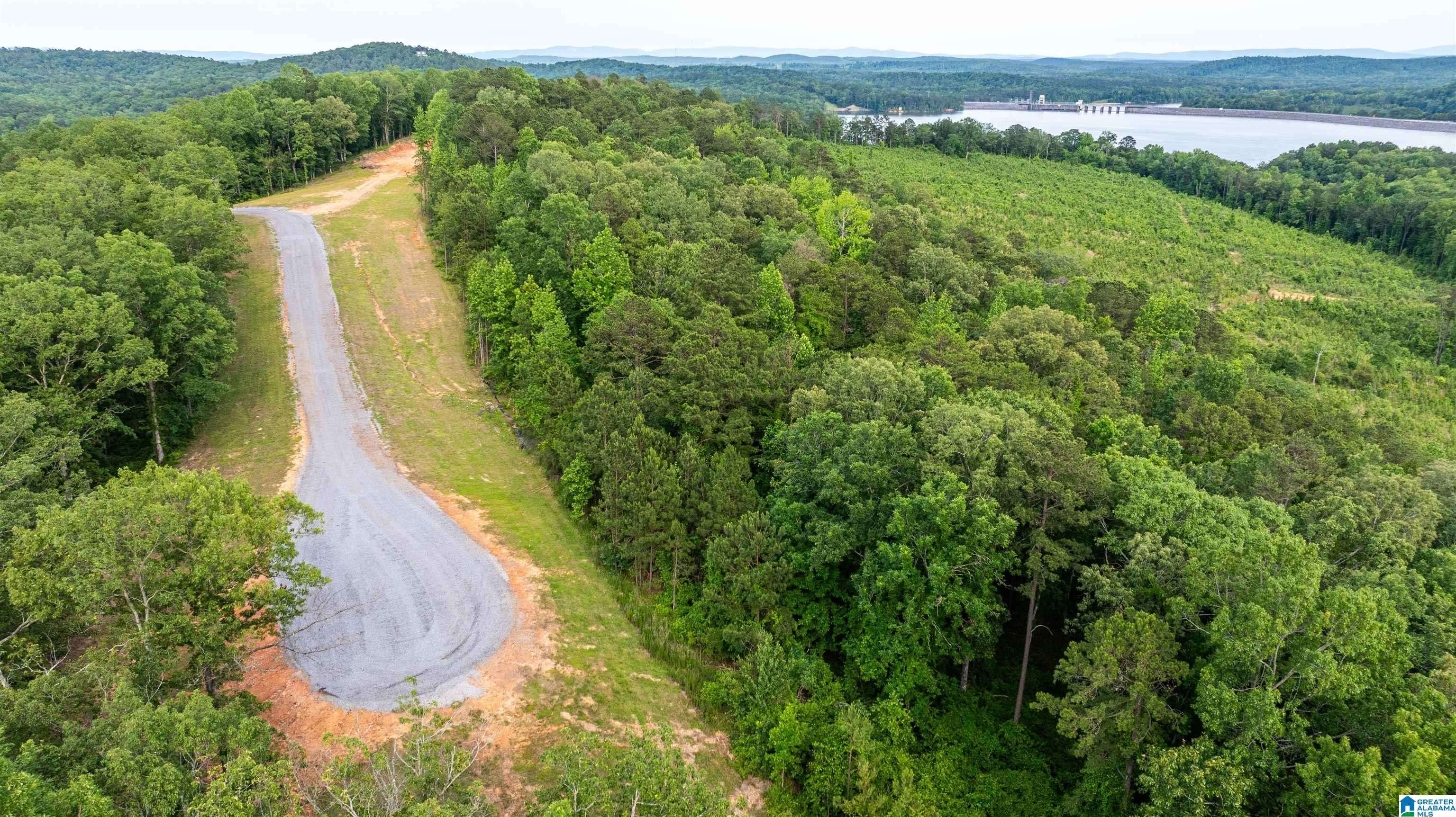 Ragland, AL 35131,0 WILL BLACK HOLLOW ROAD #Lot 36