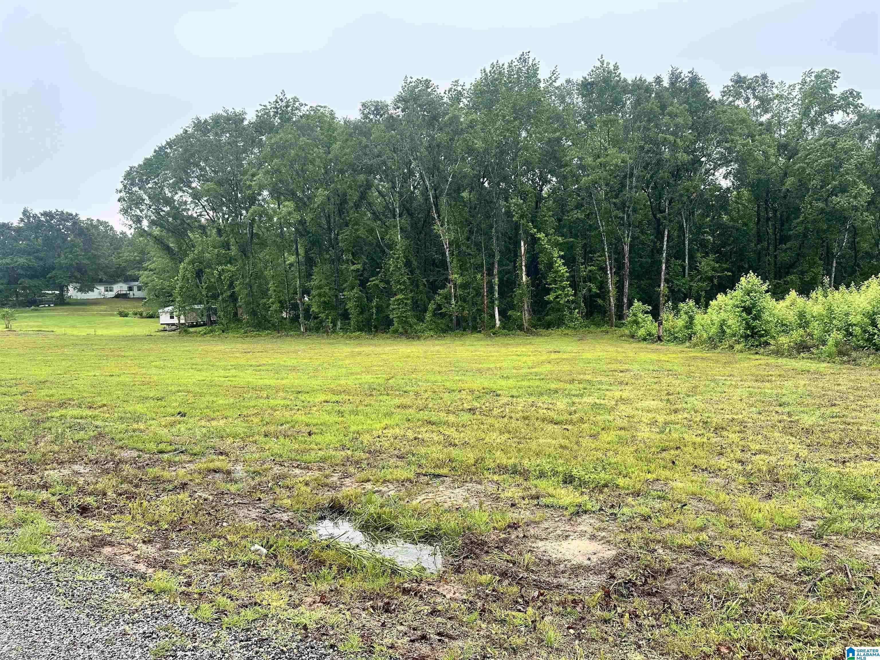 Centreville, AL 35042,0 WARD SCHOOL ROAD #1