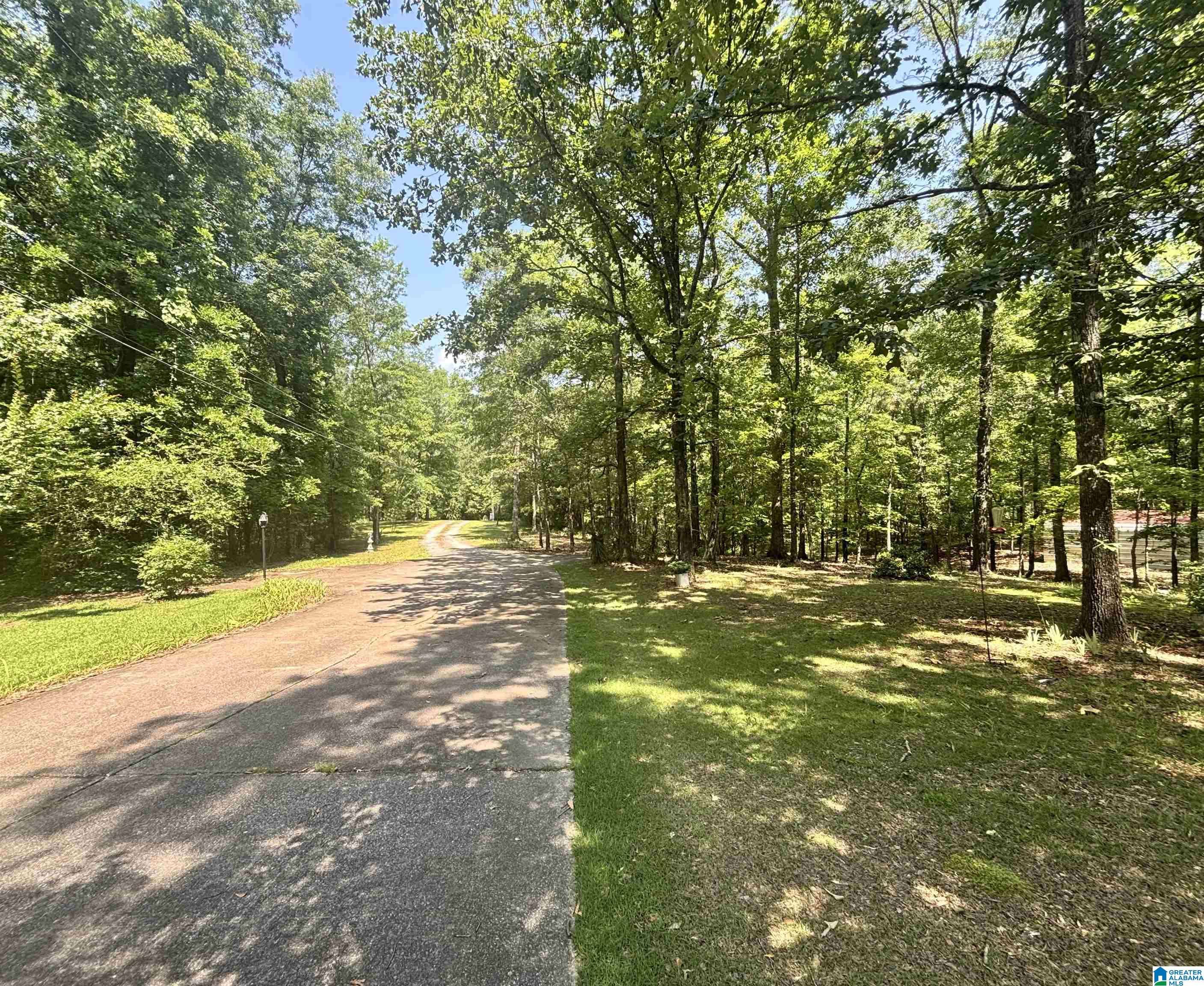 Columbiana, AL 35051,2910 CHELSEA ROAD
