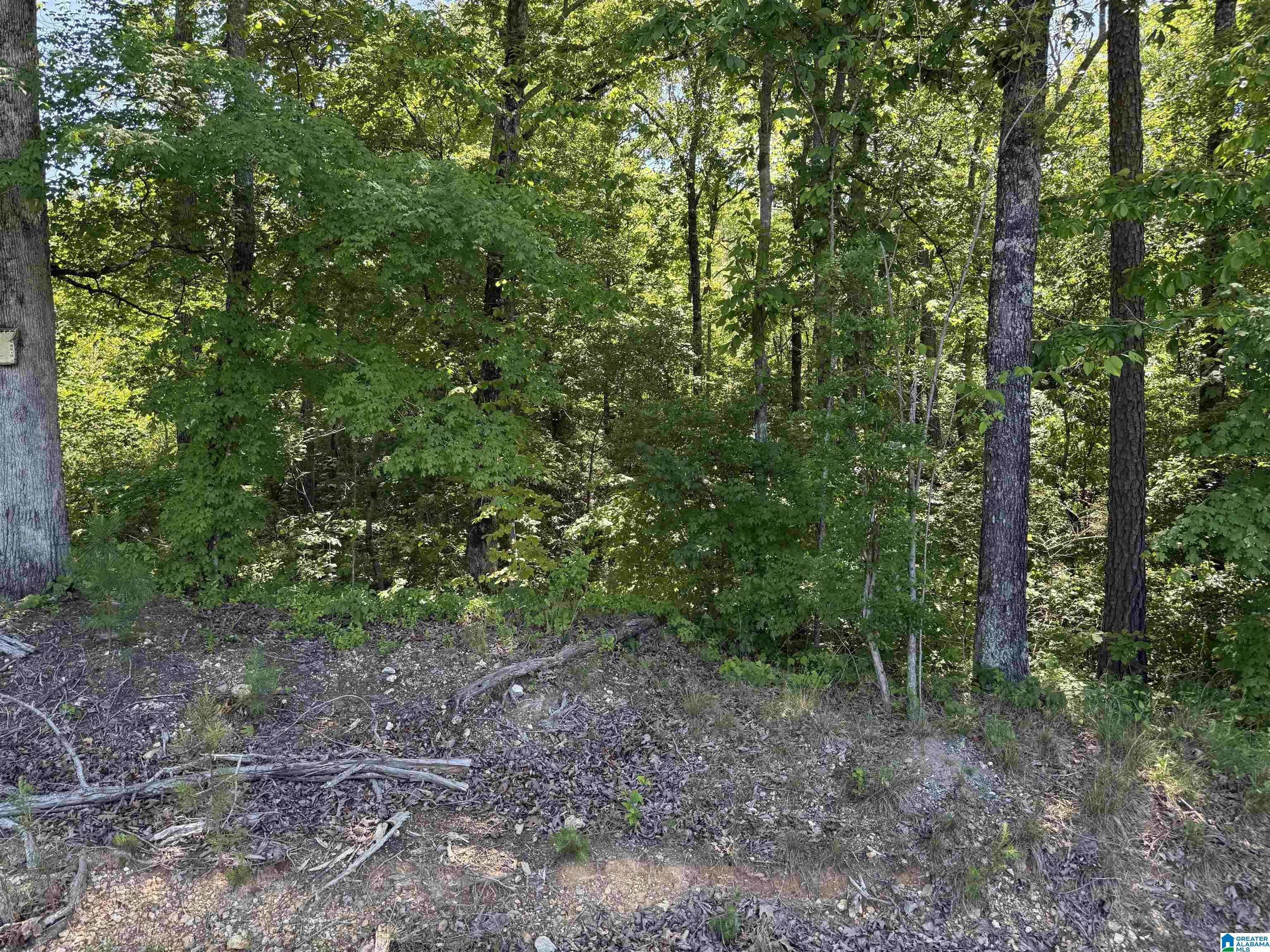 Attalla, AL 35954,0 MURDOCK ROAD #0