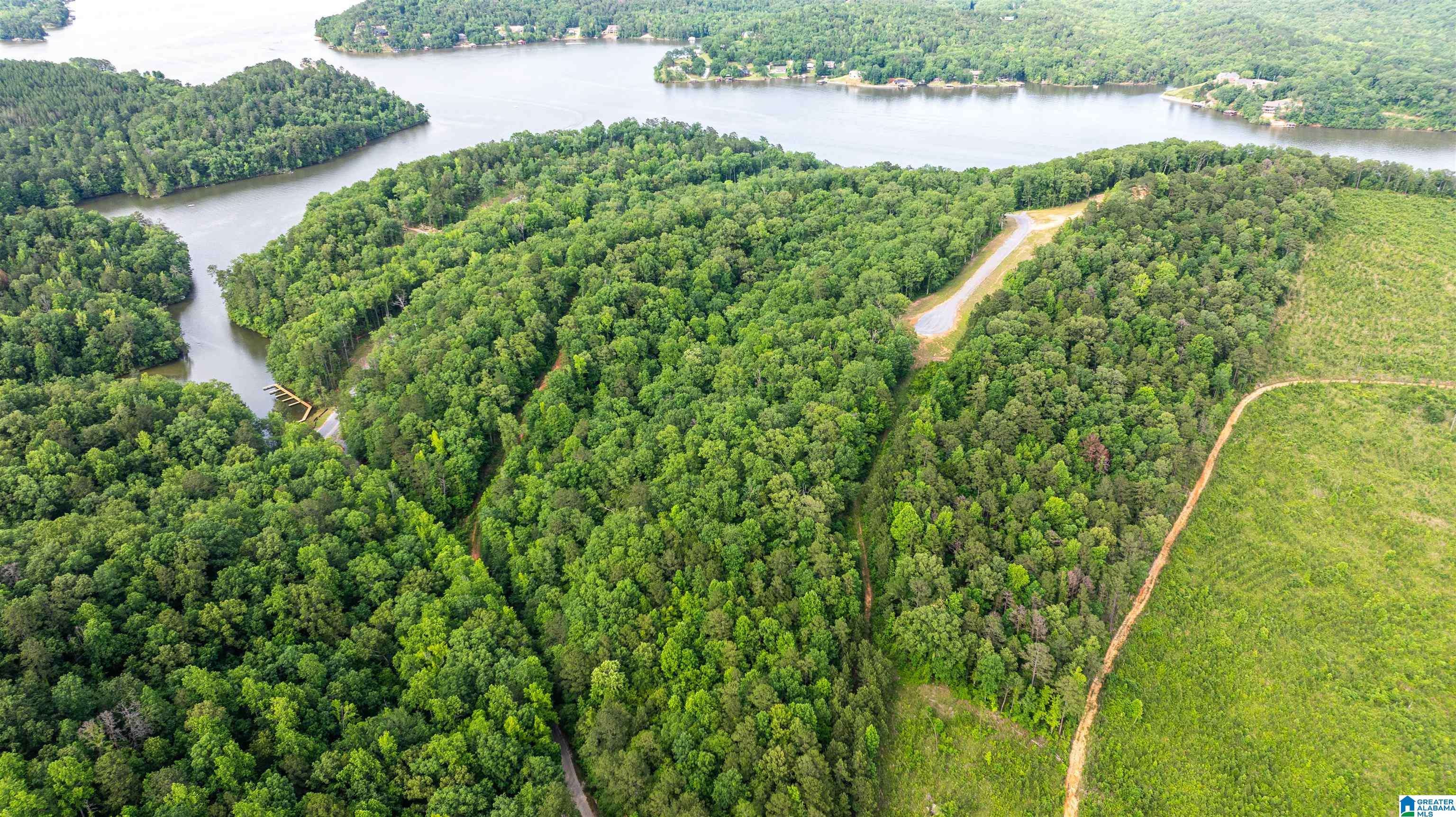 Ragland, AL 35131,0 WILL BLACK HOLLOW ROAD #Lot 15