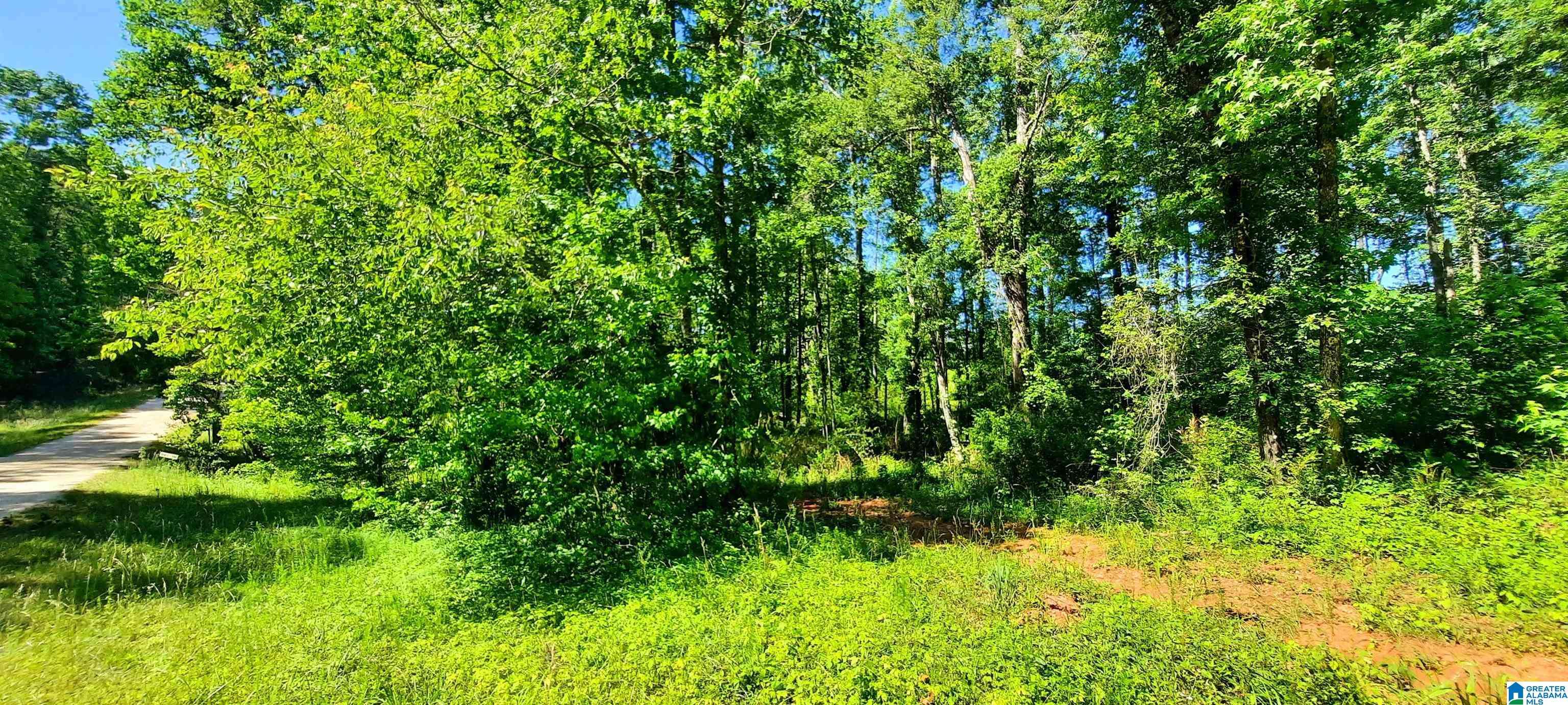 Wedowee, AL 36278,0 LASKA DRIVE #20 acres