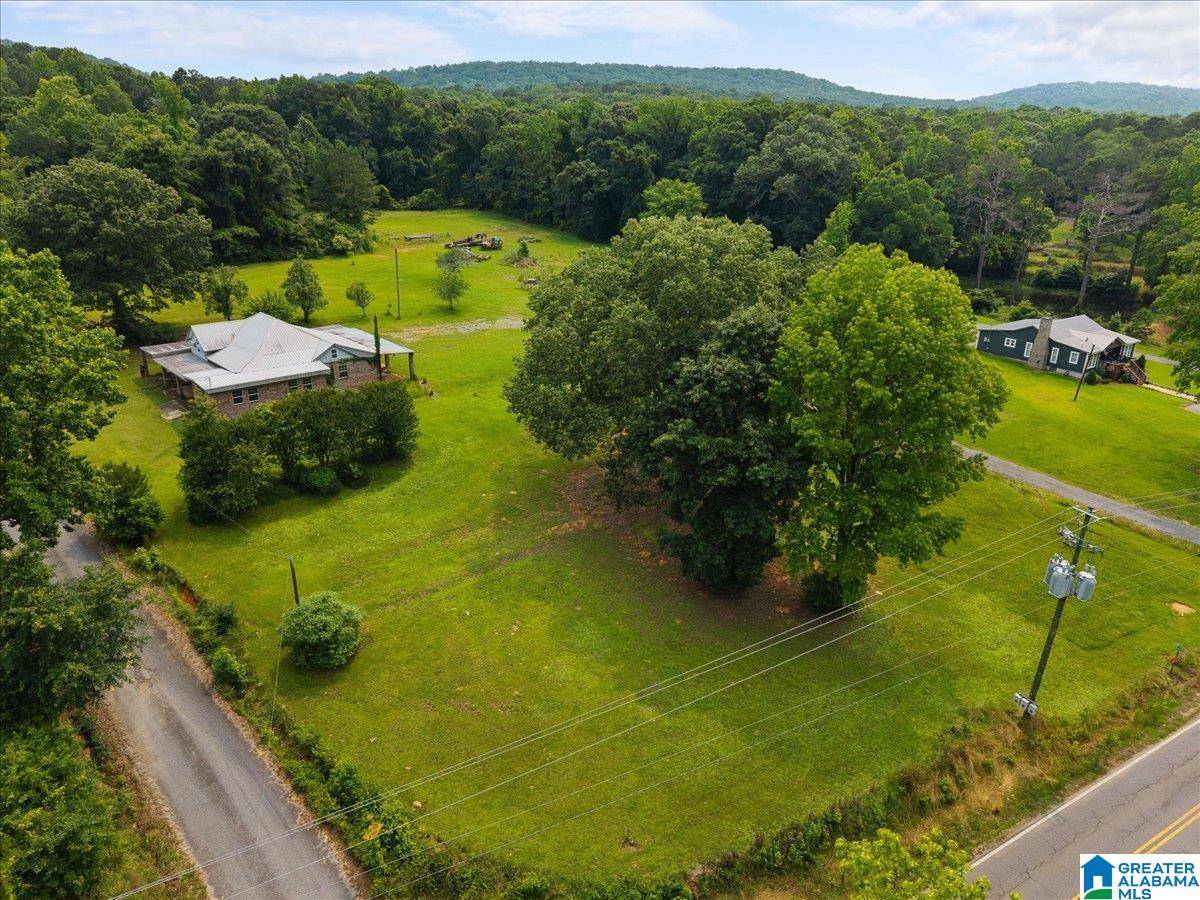 Springville, AL 35146,40 SULFUR SPRINGS ROAD