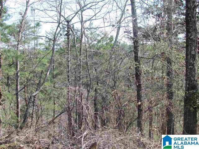 Pell City, AL 35125,0000 COGSWELL AVENUE #vacant 61+- acres