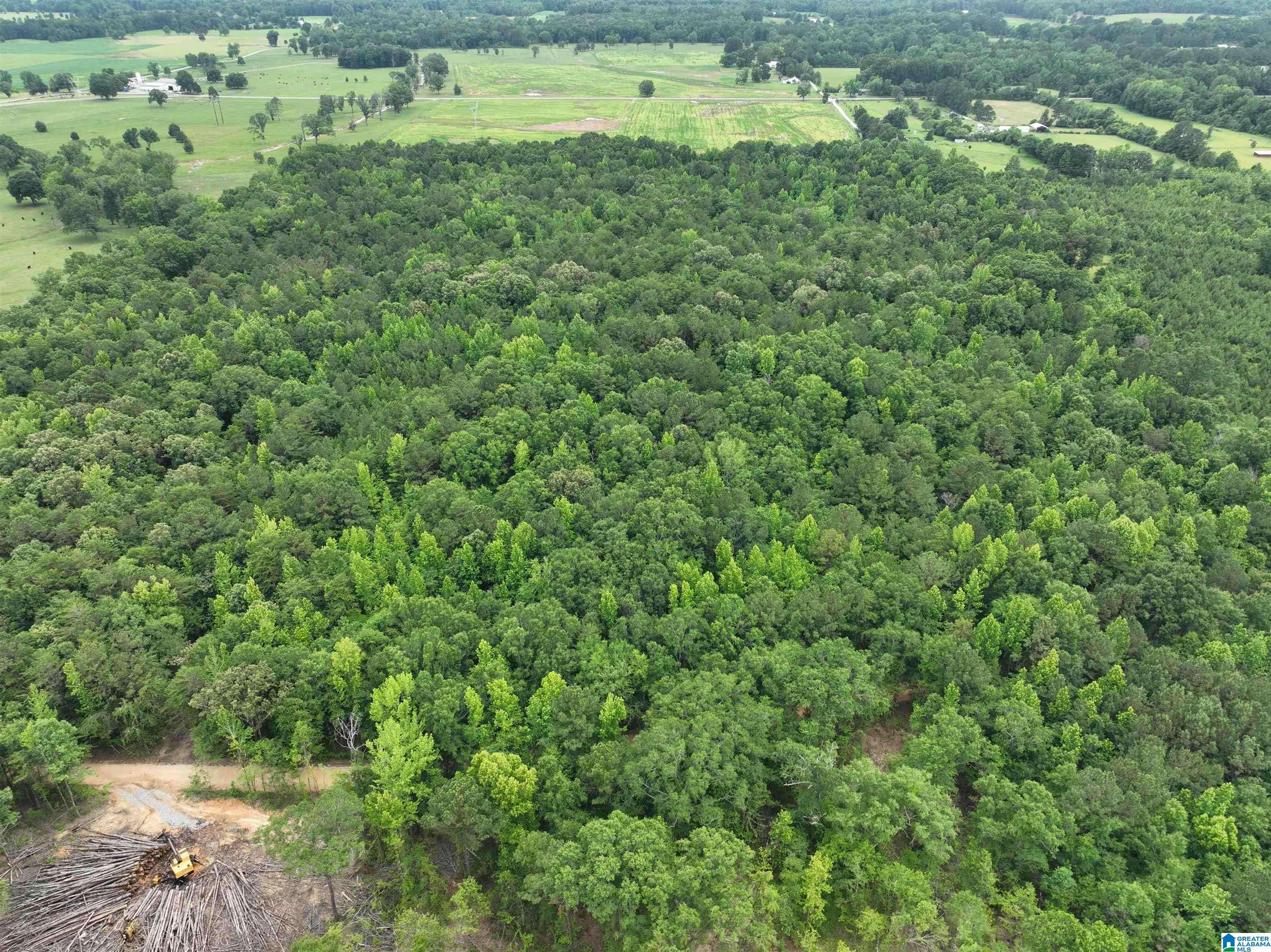 Wilsonville, AL 35186,JACKSON FARM ROAD #0