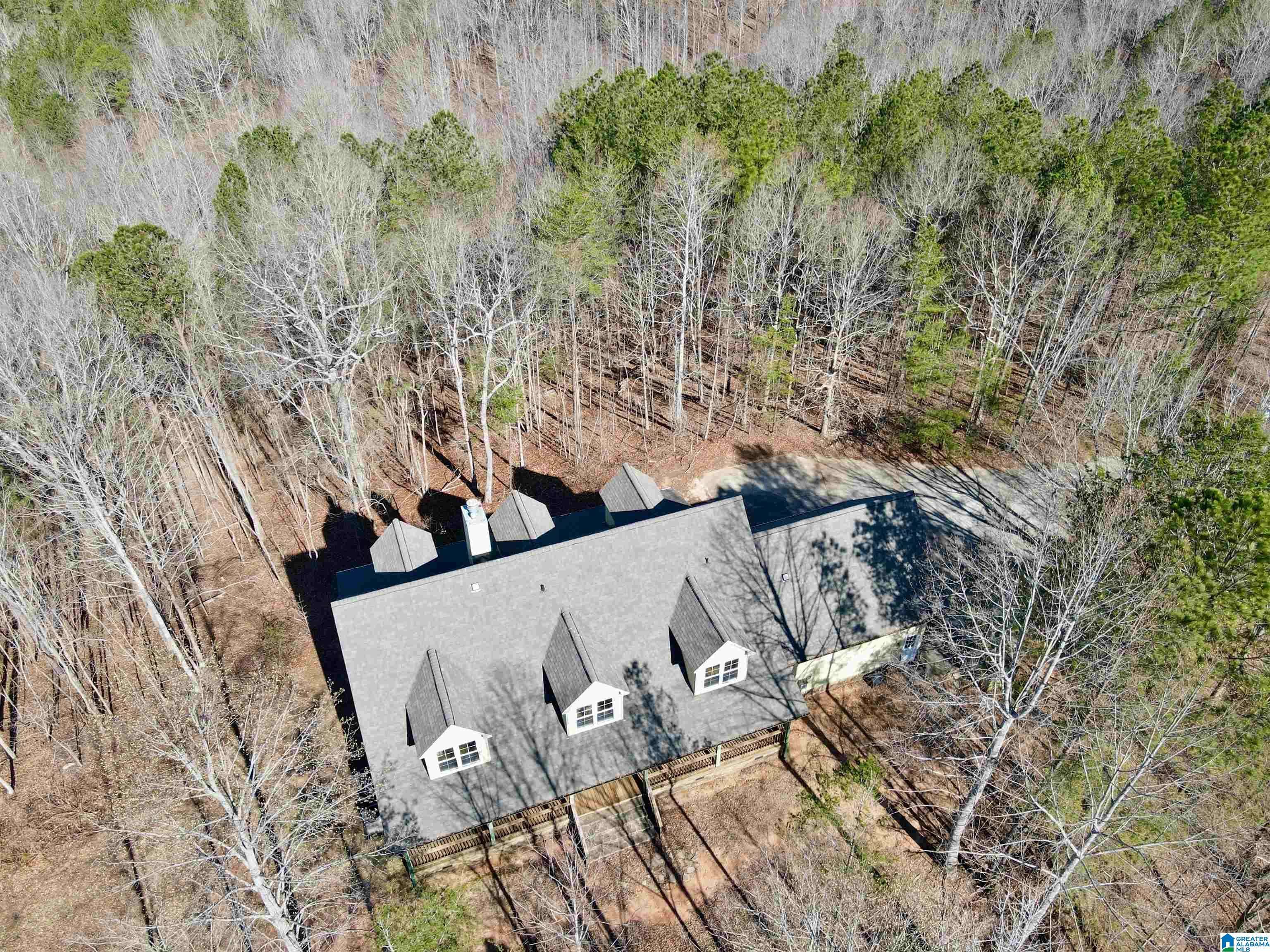 Delta, AL 36258,720 GOOD HOPE DELTA ROAD
