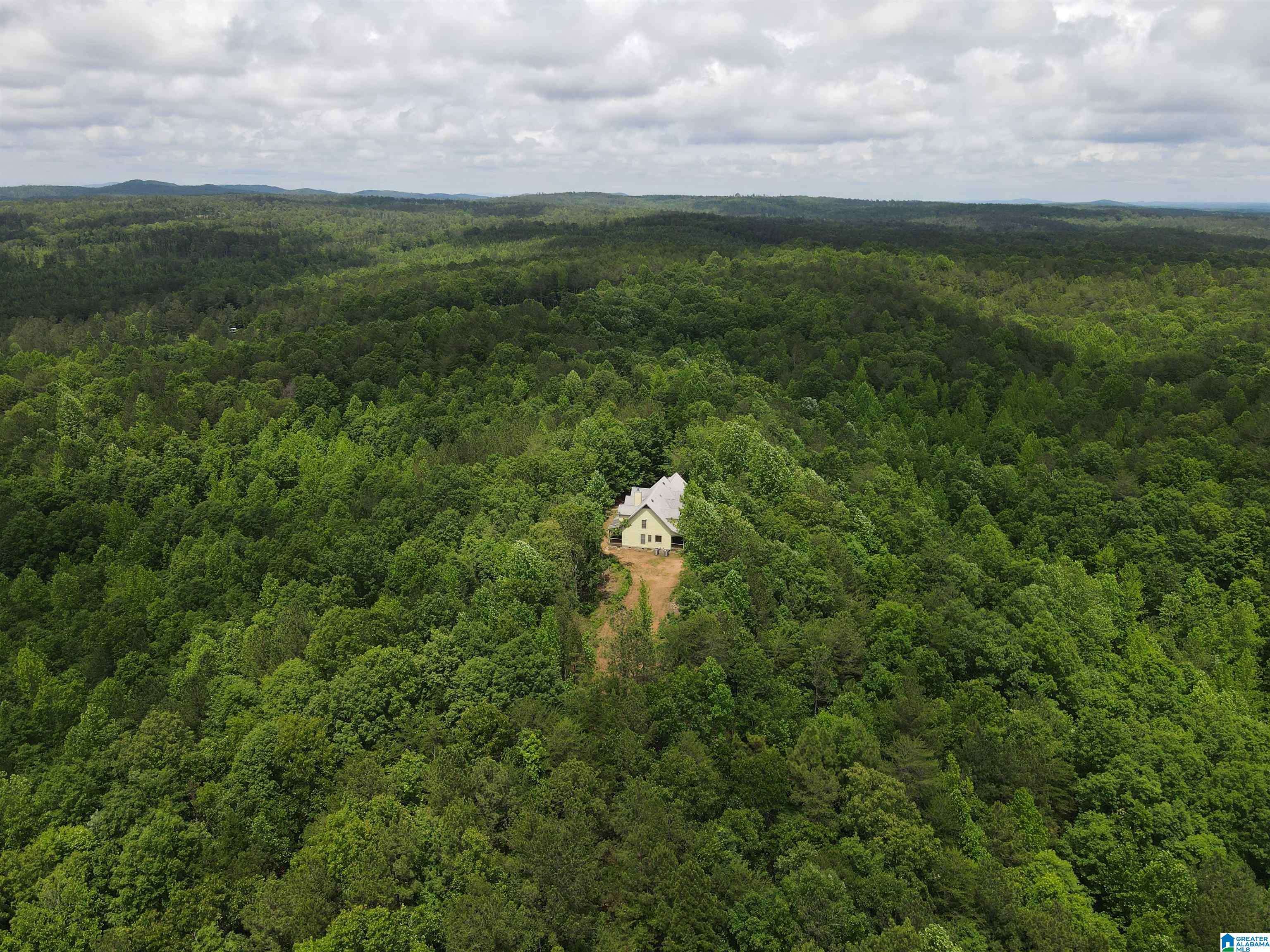 Delta, AL 36258,720 GOOD HOPE DELTA ROAD