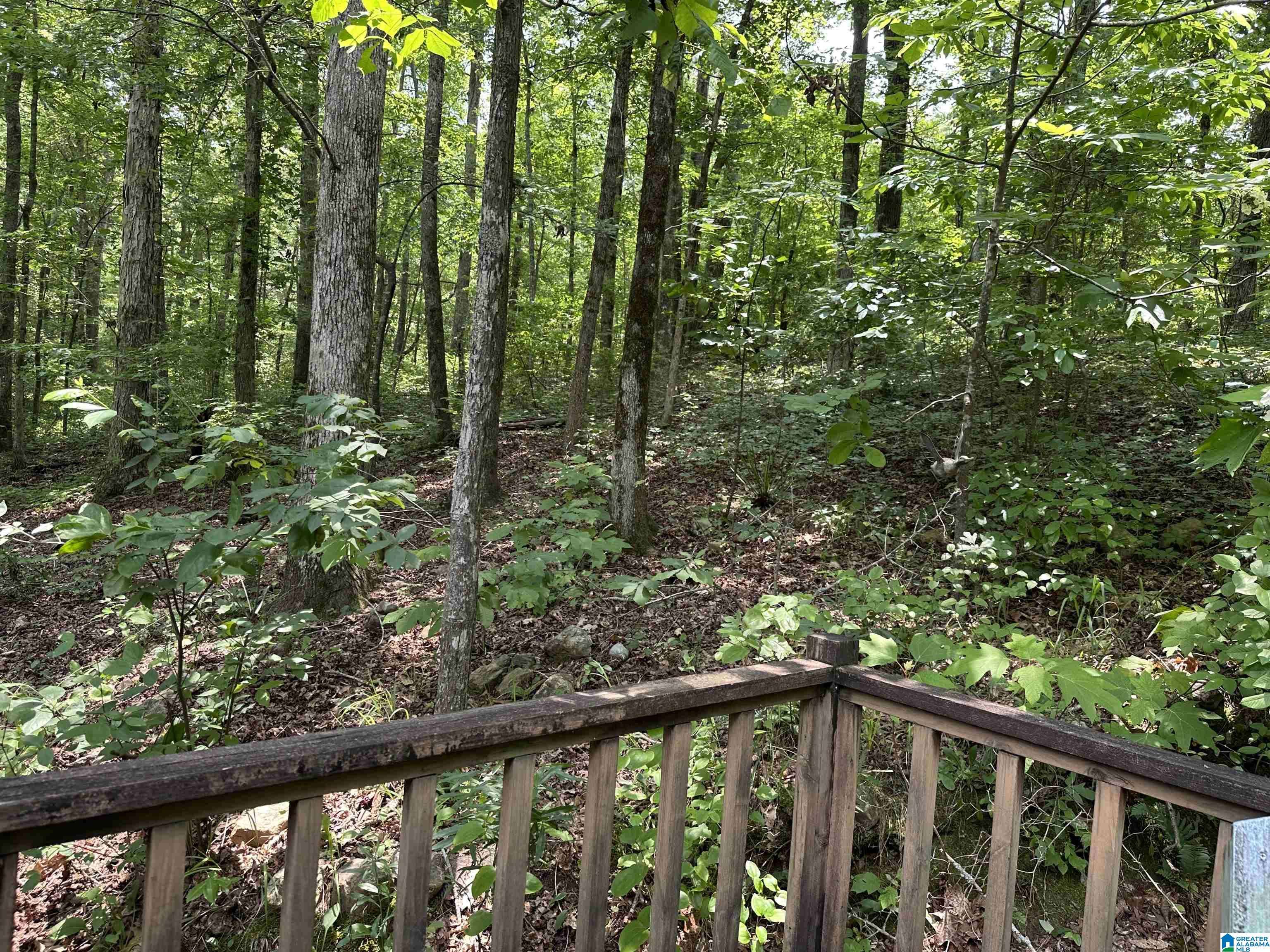 Woodland, AL 36280,1009 COUNTY ROAD 619