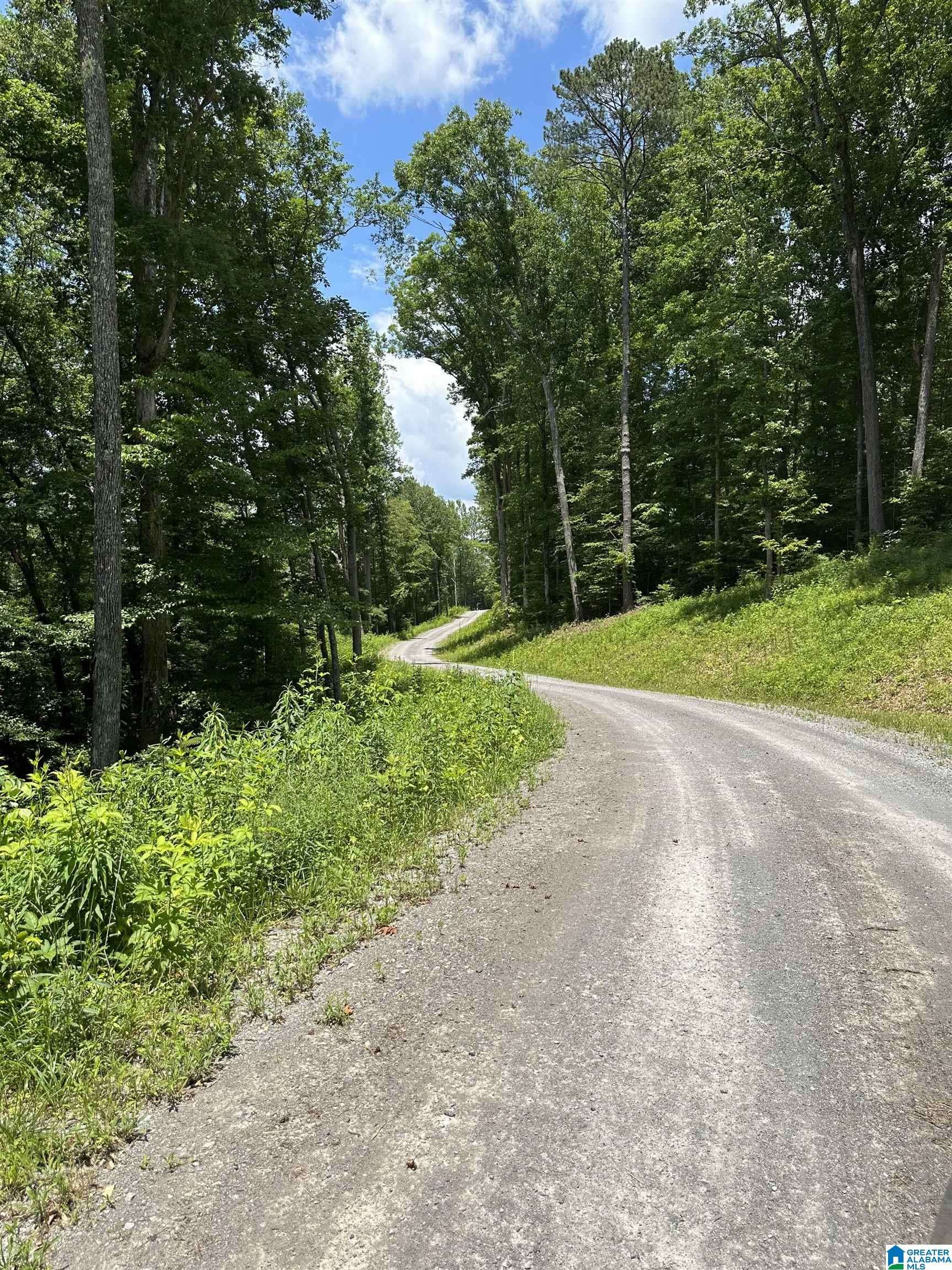 Springville, AL 35146,370 MOUNTAIN VIEW ROAD #2