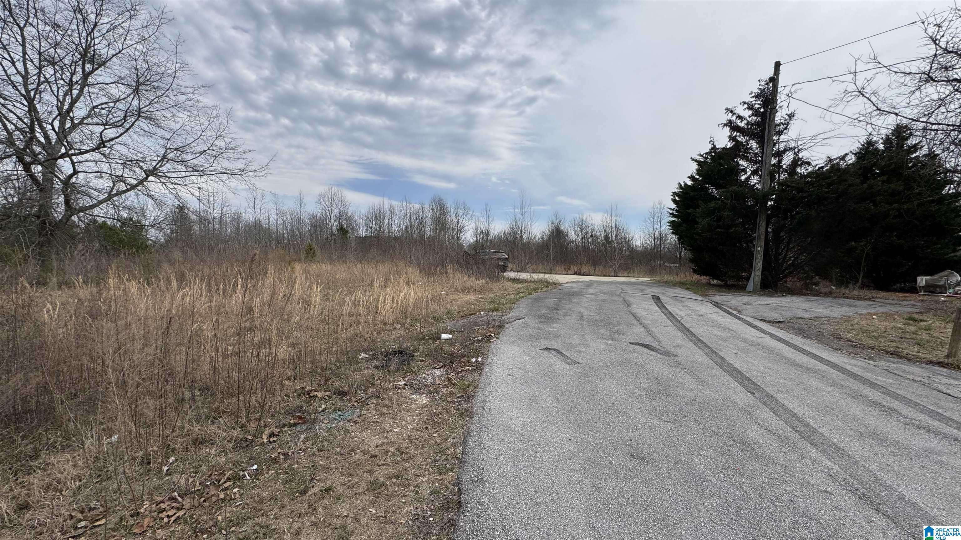 Phil Campbell, AL 35581,00 KENT DRIVE #00
