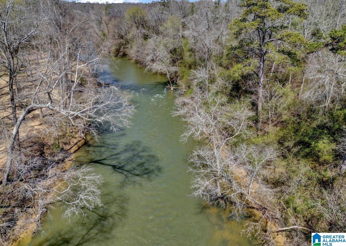 Blountsville, AL 35031,163 COUNTY HIGHWAY 34