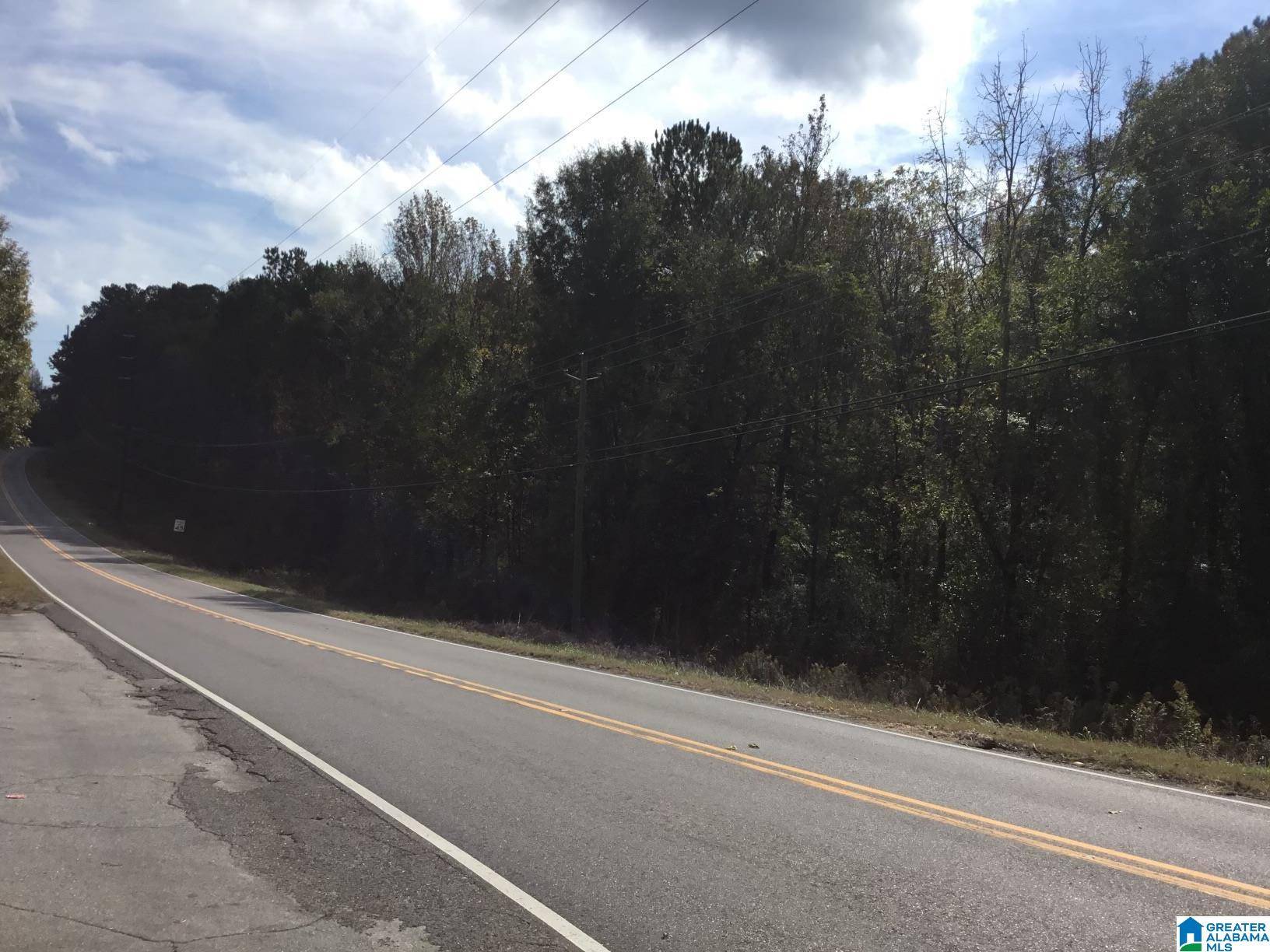 Dora, AL 35062,7634 BANKHEAD HIGHWAY #1