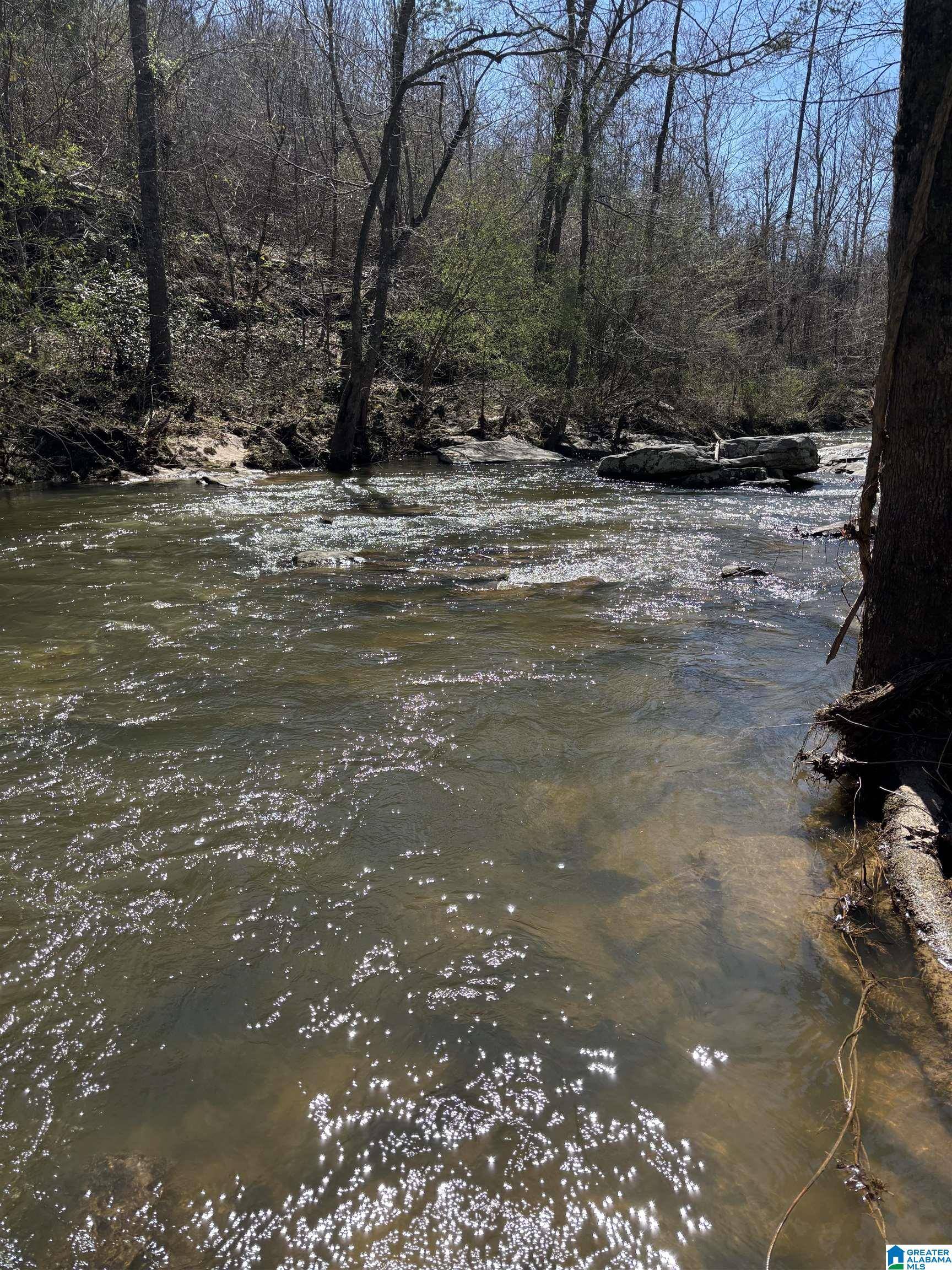 Holly Pond, AL 35083,13150 E US HIGHWAY 278