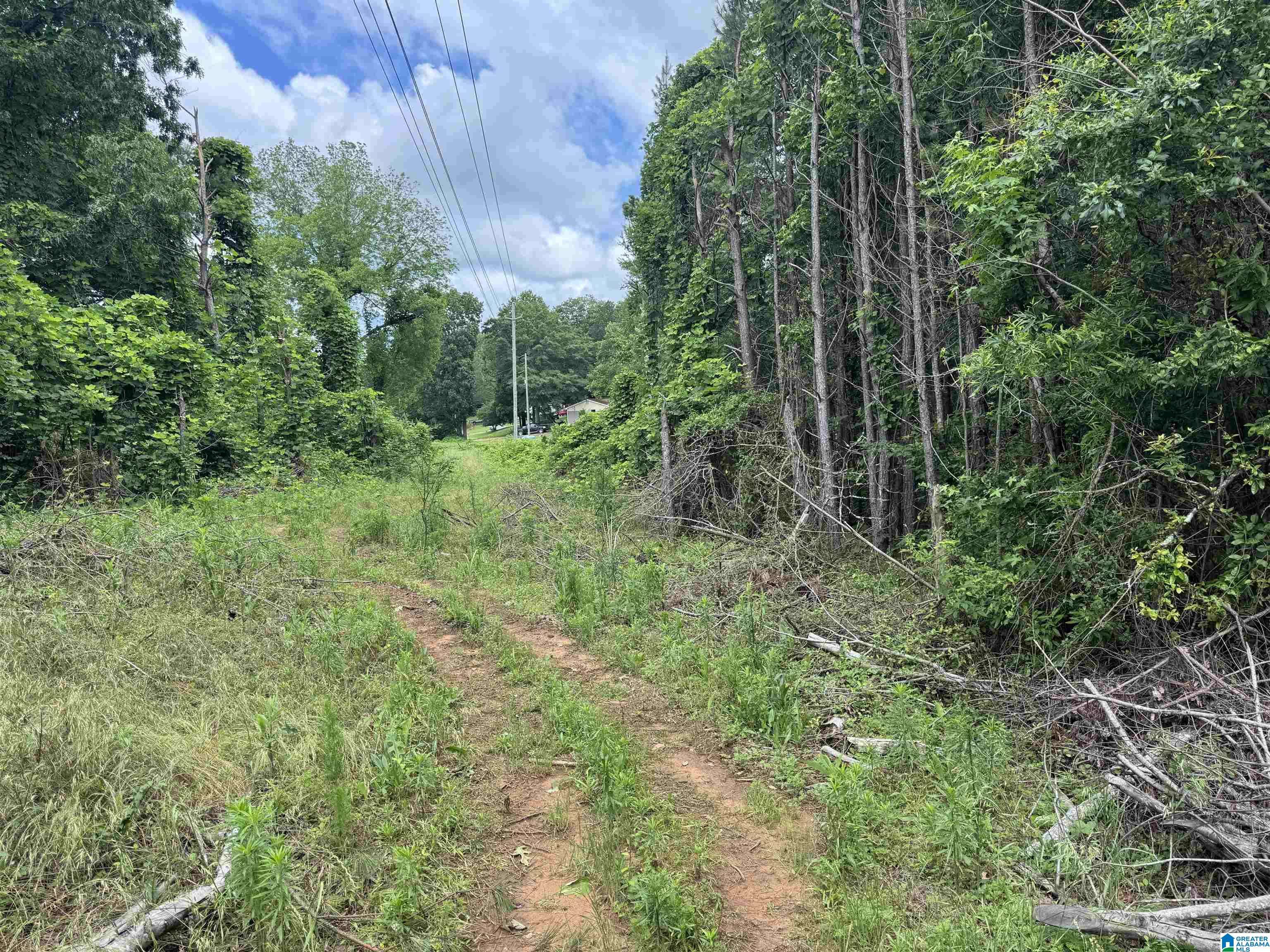 Hackleburg, AL 35564,27414 HIGHWAY 253