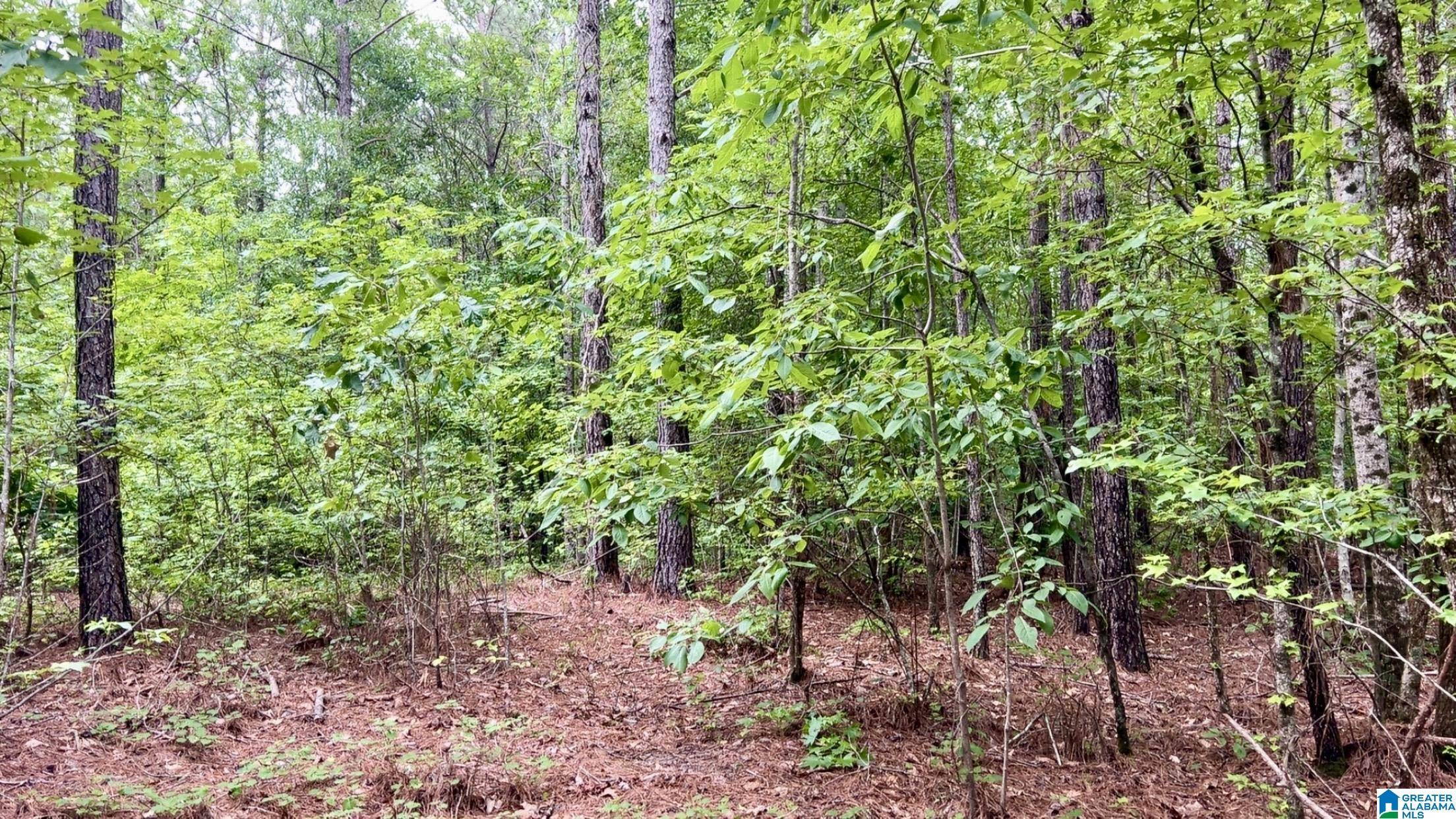 Roanoke, AL 36274,0 COUNTY ROAD 645 #1
