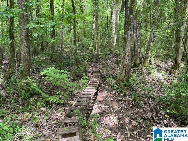 Roanoke, AL 36274,COUNTY ROAD 91 #none