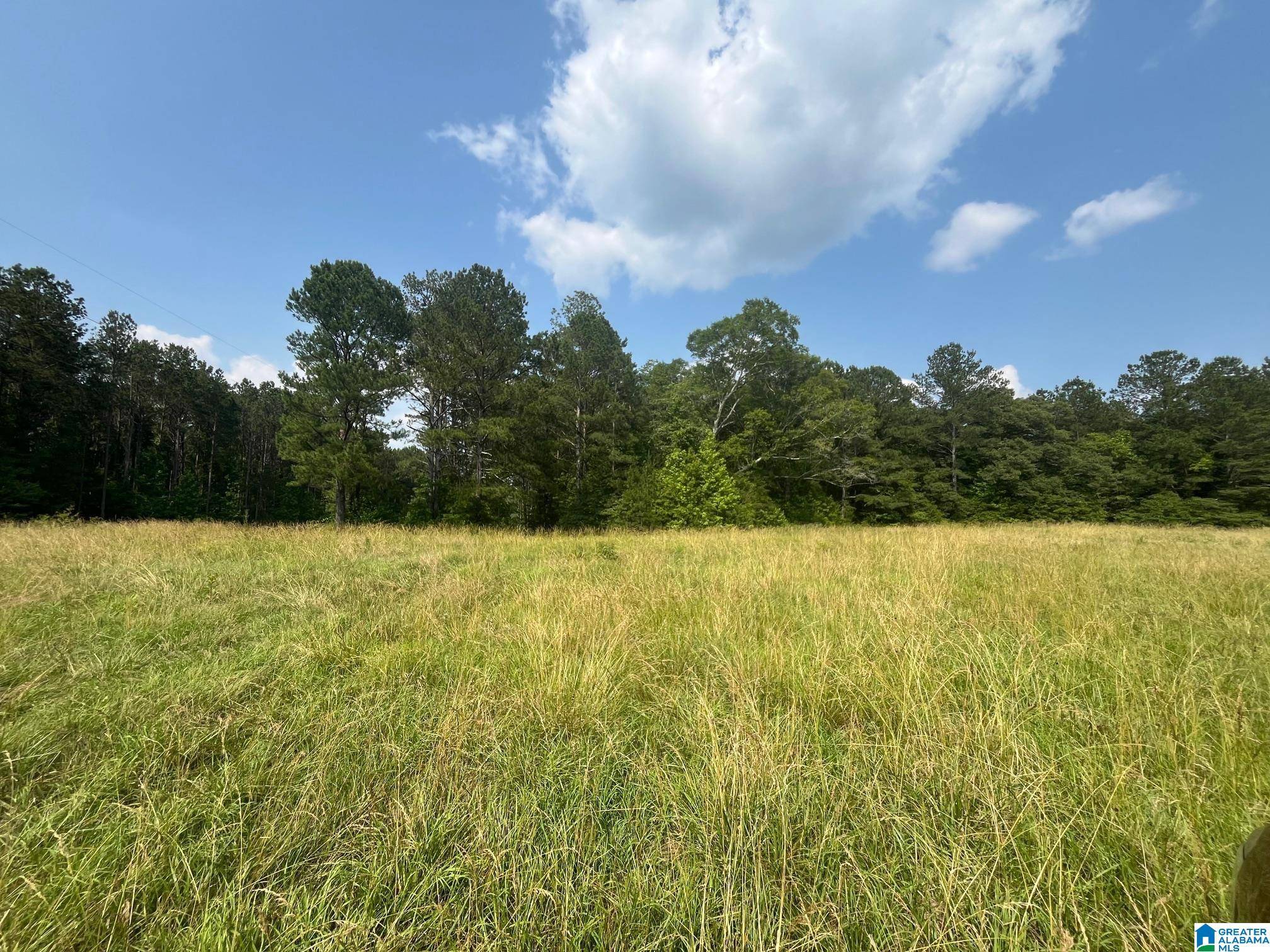 Roanoke, AL 36274,COUNTY ROAD 91 #none